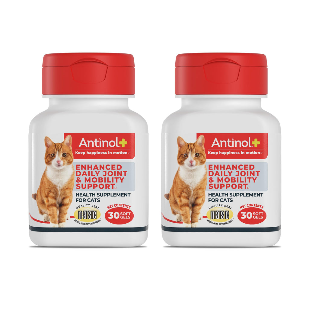Hip & Joint Soft Gels for Cats – Green-Lipped Mussel & Krill Oil 60ct