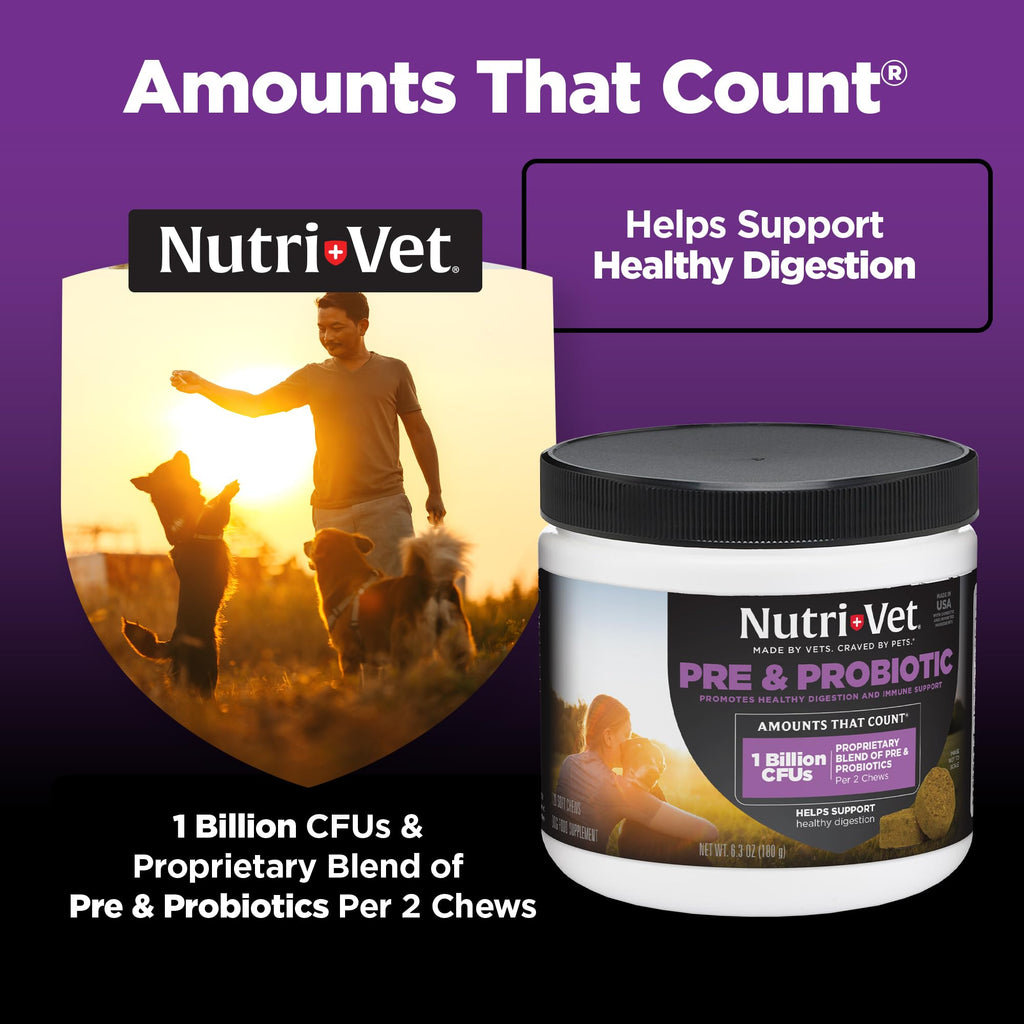 Pre & Probiotic Soft Chews for Dogs – Digestive Support 120ct