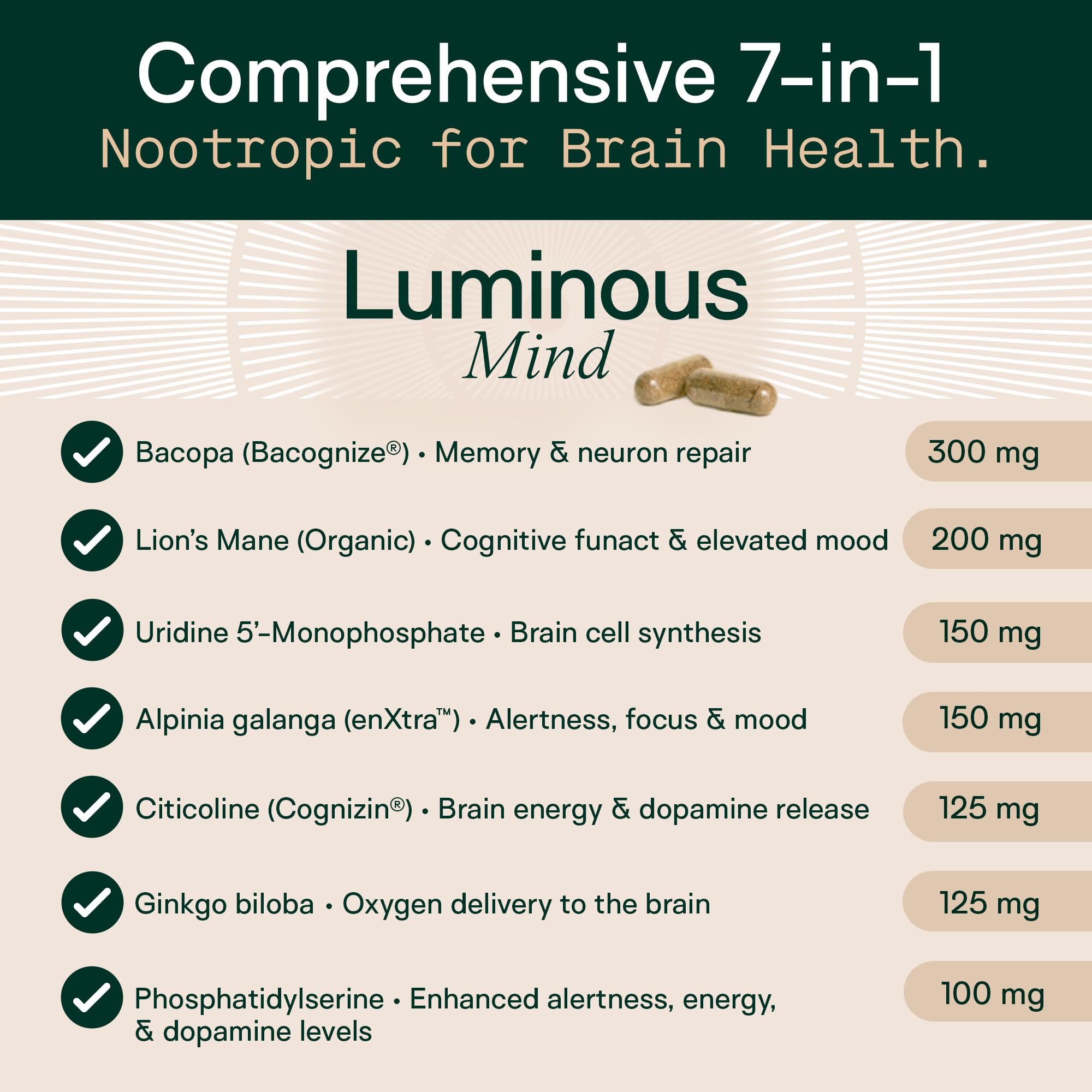 Nootropic Brain Supplement with Ginkgo, Bacopa & Lion’s Mane for Focus & Memory