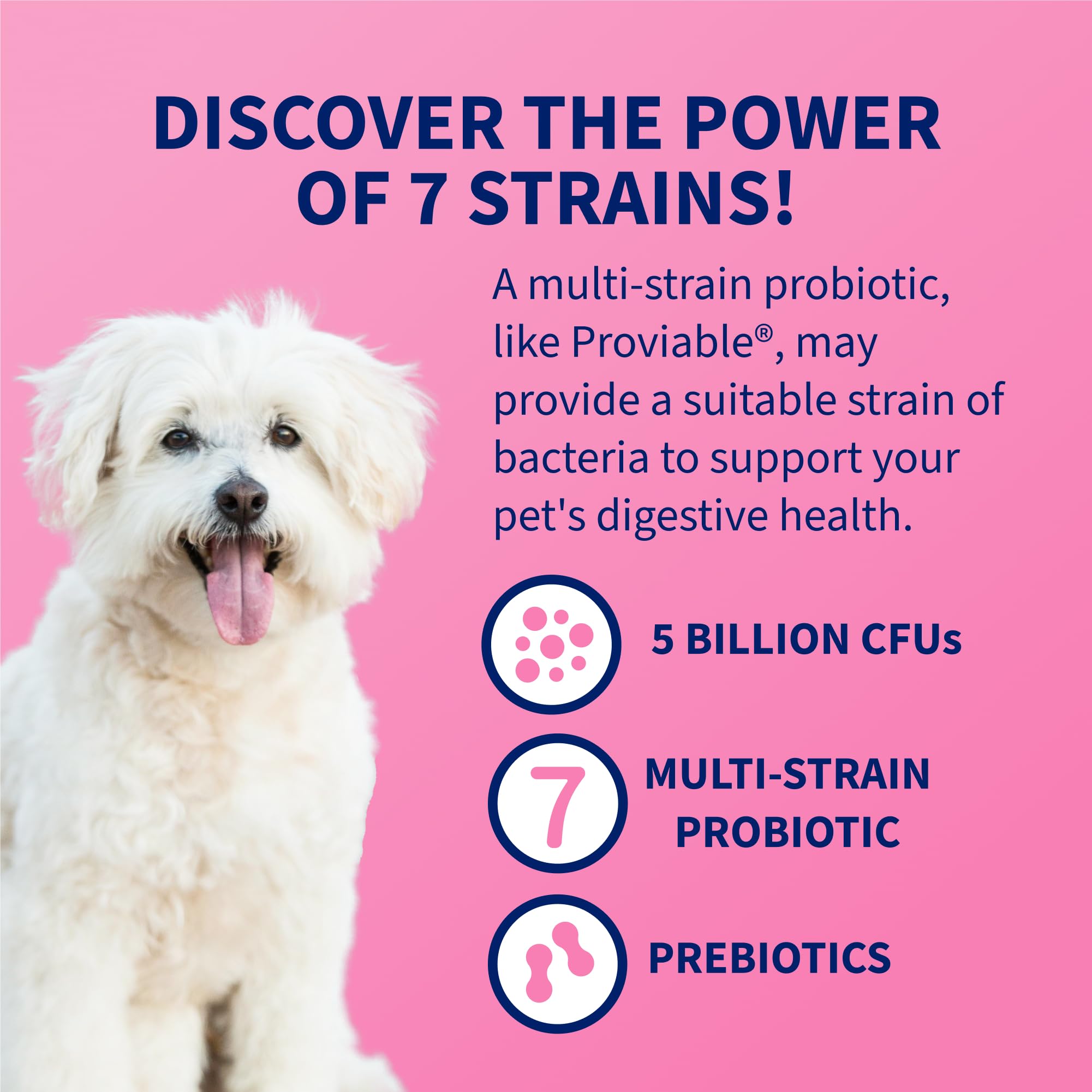 Multi-Strain Probiotic Capsules for Dogs & Cats – 30ct