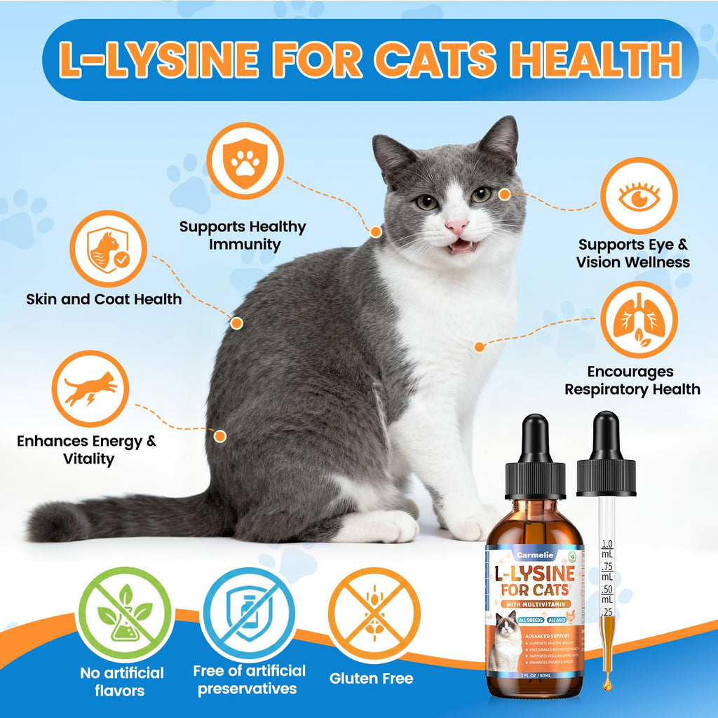 L-Lysine Liquid for Cats – Immune & Respiratory Support 60ml