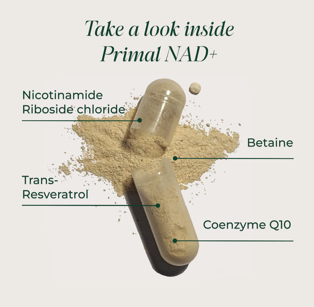 NAD+ Supplement with Nicotinamide Riboside & Resveratrol for Energy Support