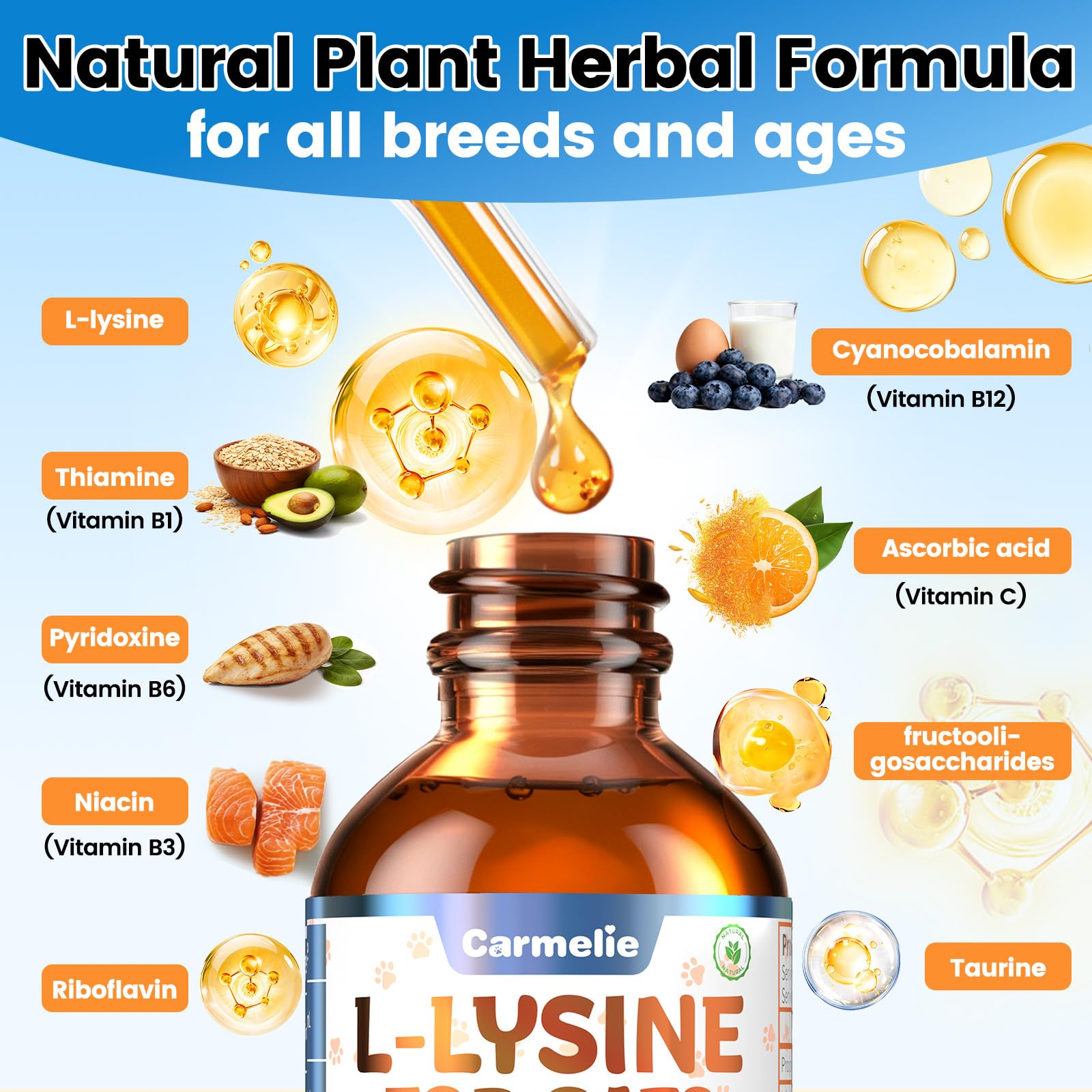L-Lysine Liquid for Cats – Immune & Respiratory Support 60ml