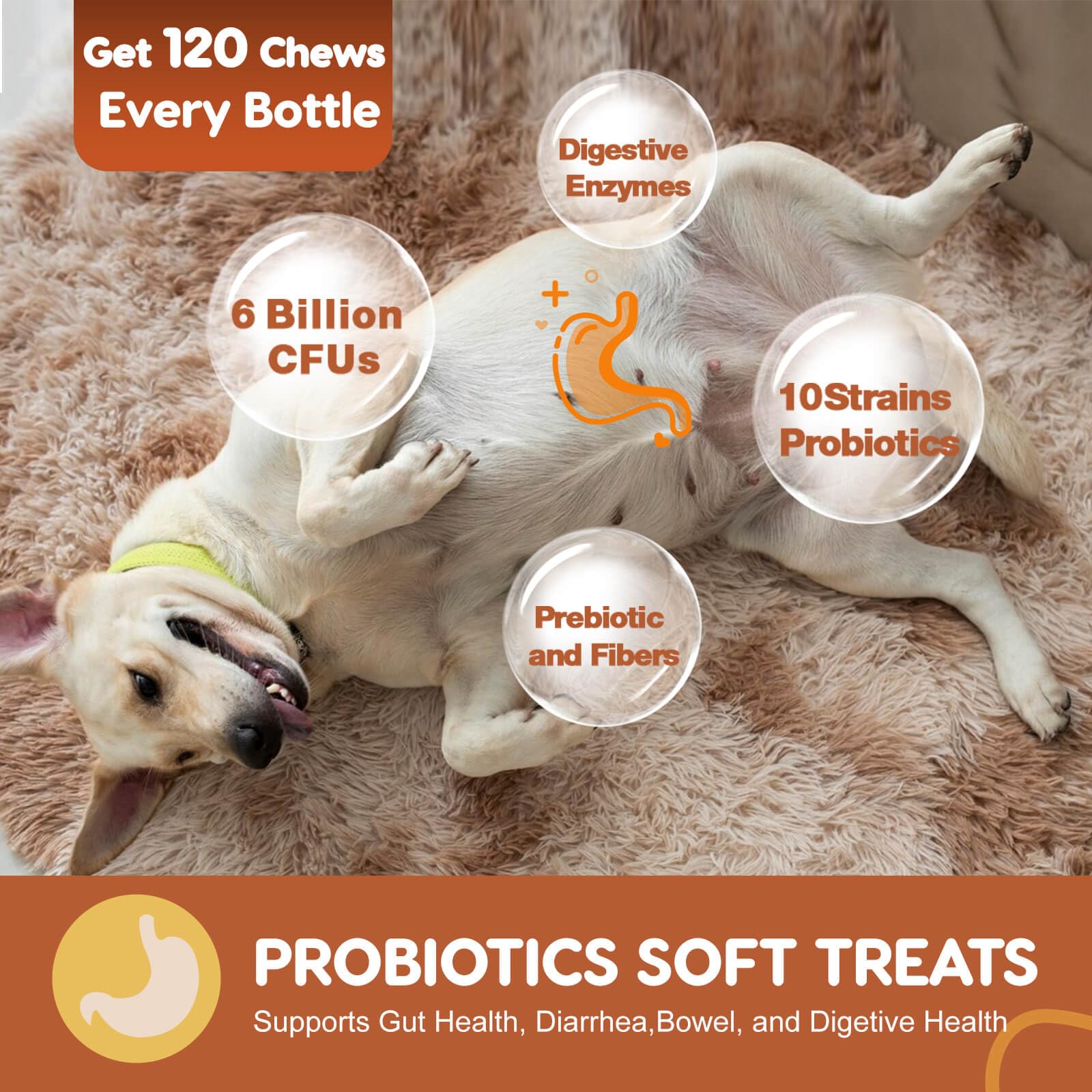 Probiotic Soft Chews for Dogs – Pumpkin & Fish Oil 120ct