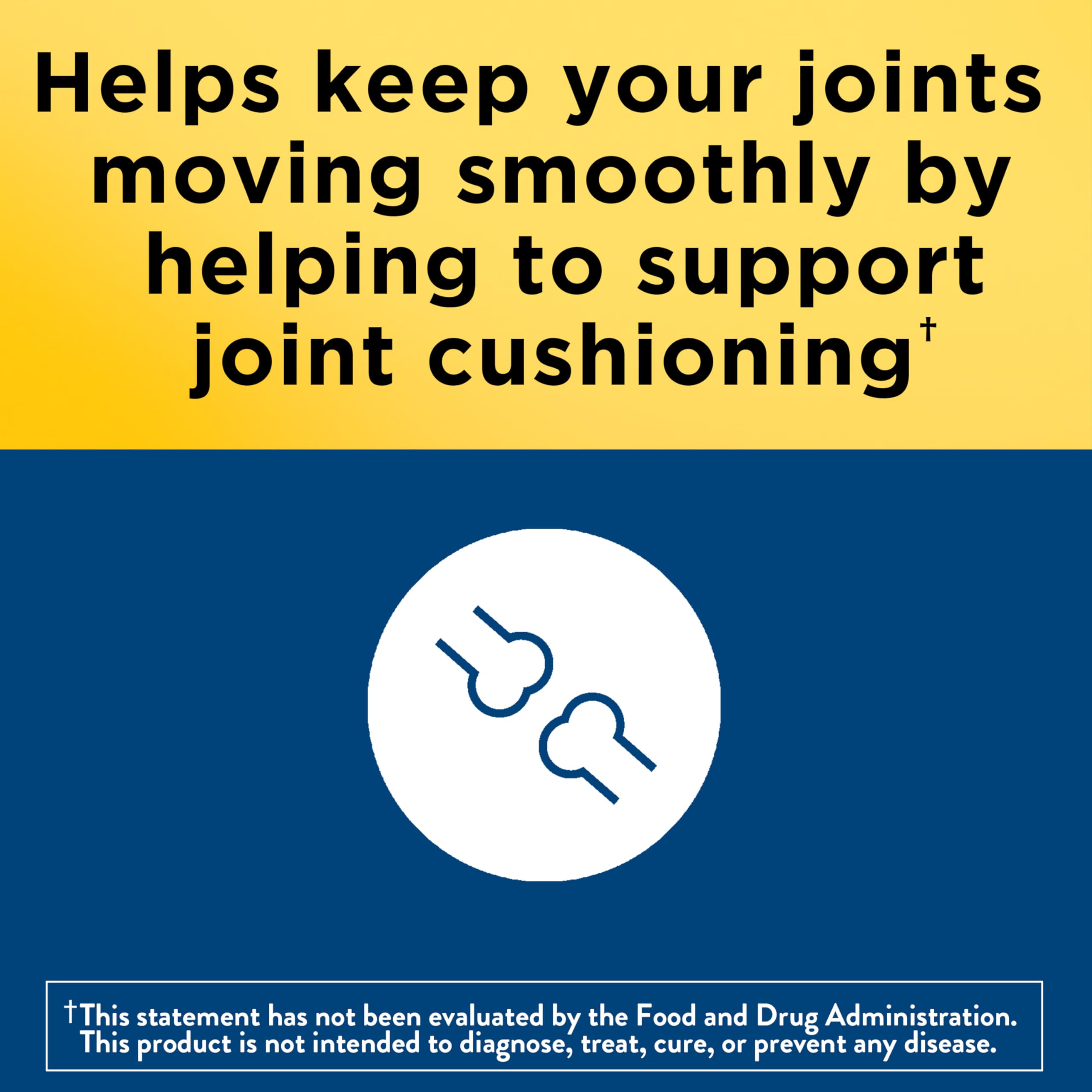 Glucosamine Chondroitin MSM Capsules for Joint Support & Mobility 120 Ct