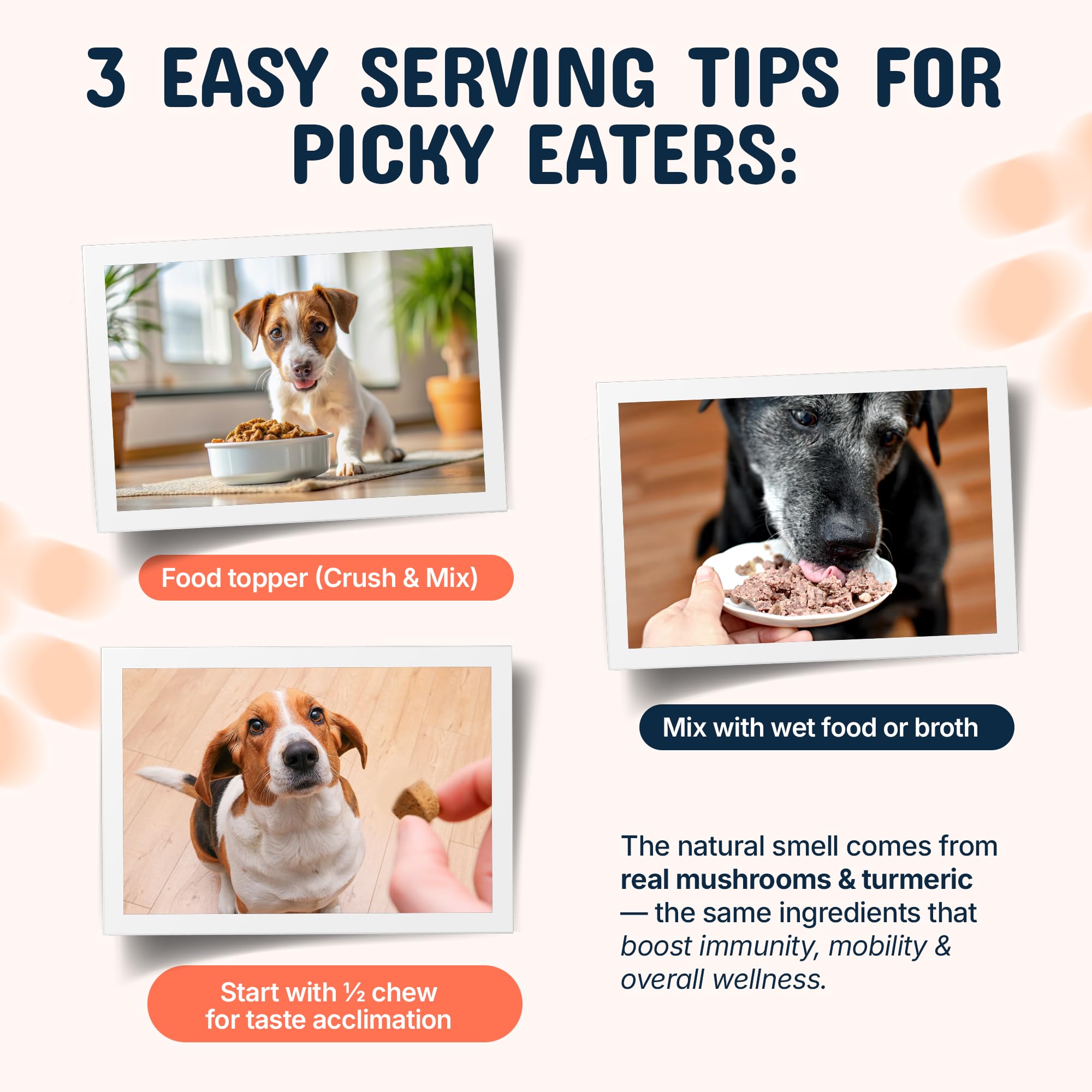 Turkey Tail Mushroom Chews for Dogs – Immunity & Joint Support 120ct