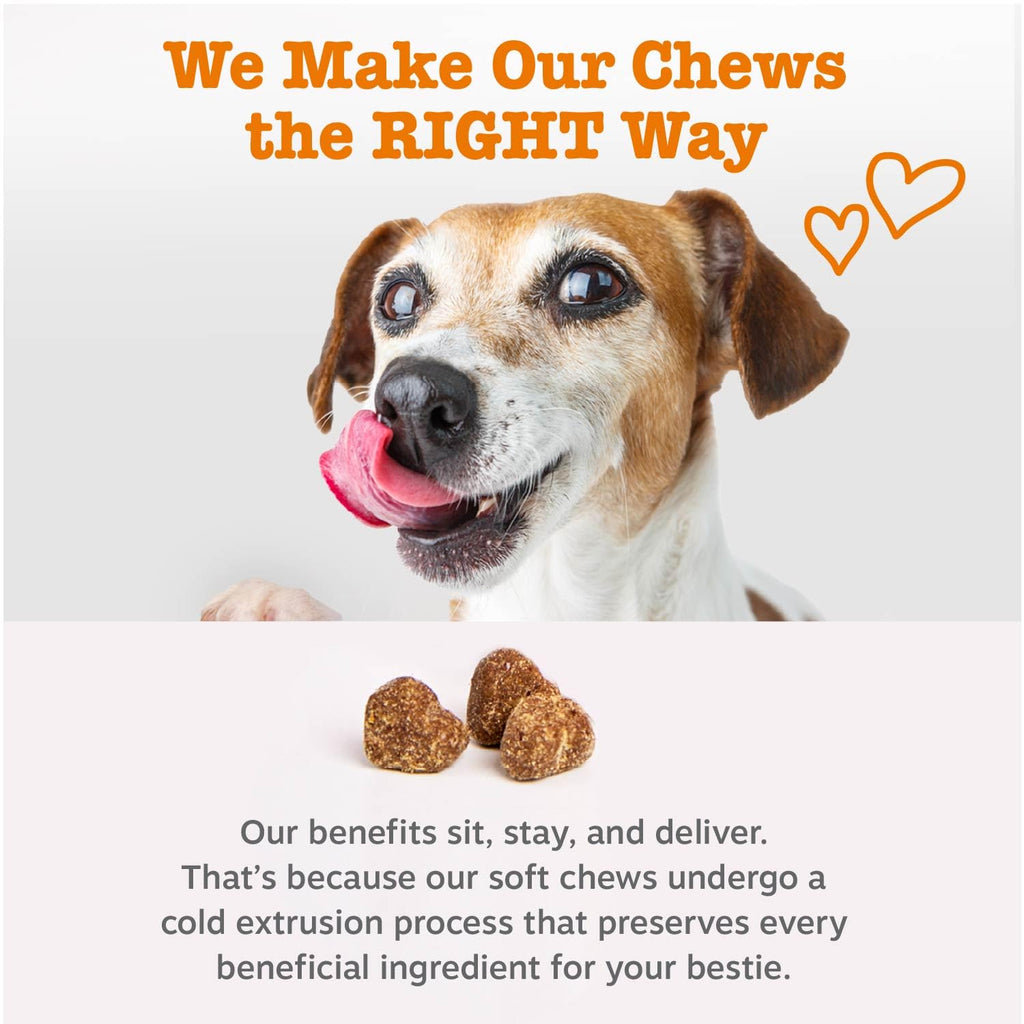 Dog Multivitamin Chews – Hip, Joint, Skin & Coat Support 90ct