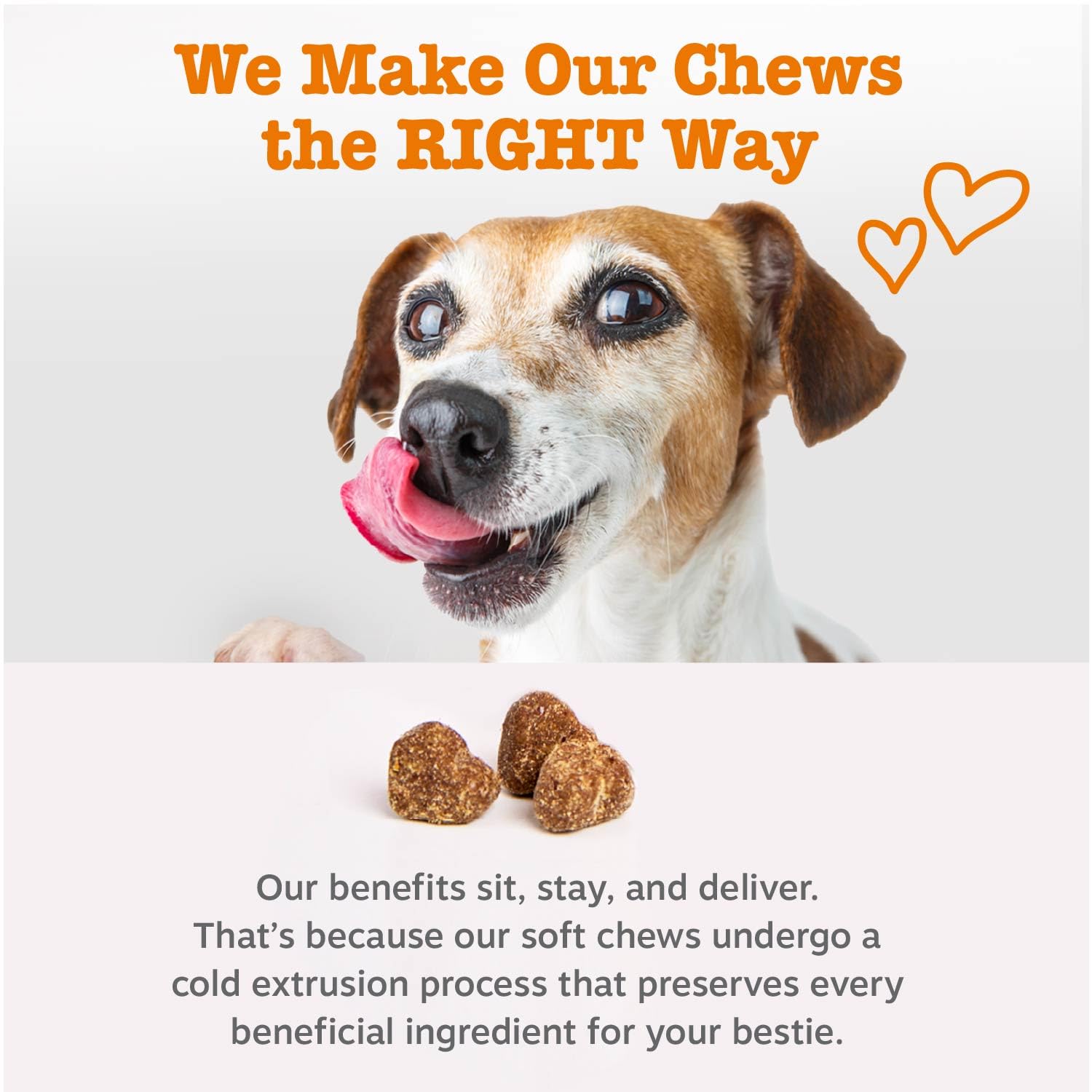 Dog Multivitamin Chews – Hip, Joint, Skin & Coat Support 90ct