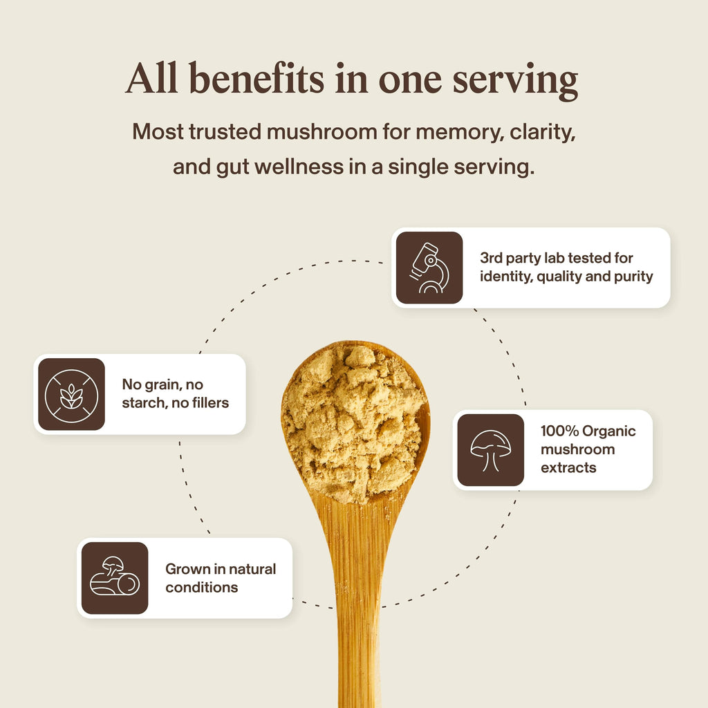 Lion’s Mane Mushroom Capsules for Cognition, Focus & Brain Support 120 Ct