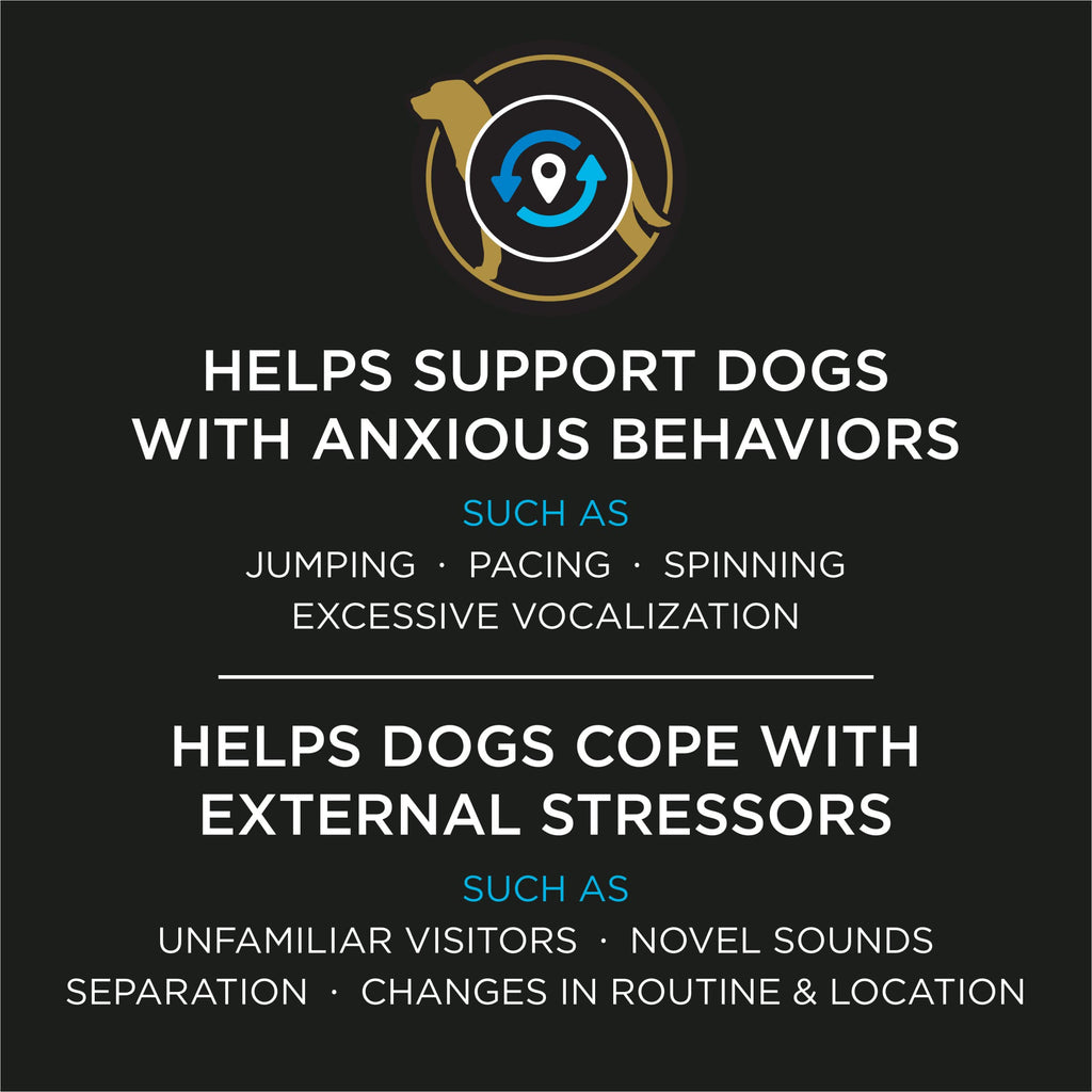 Calming Probiotic Supplement Chews for Dogs – 30ct