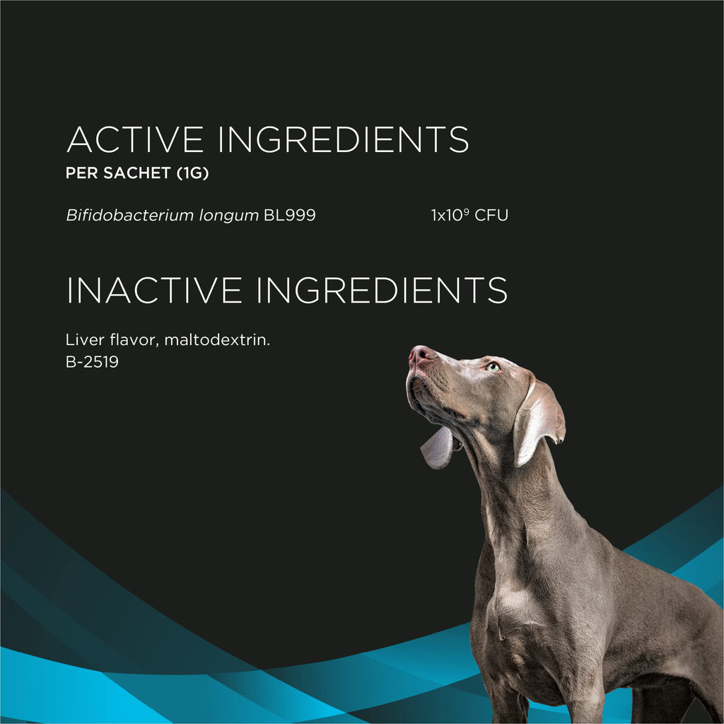 Calming Probiotic Supplement Chews for Dogs – 30ct