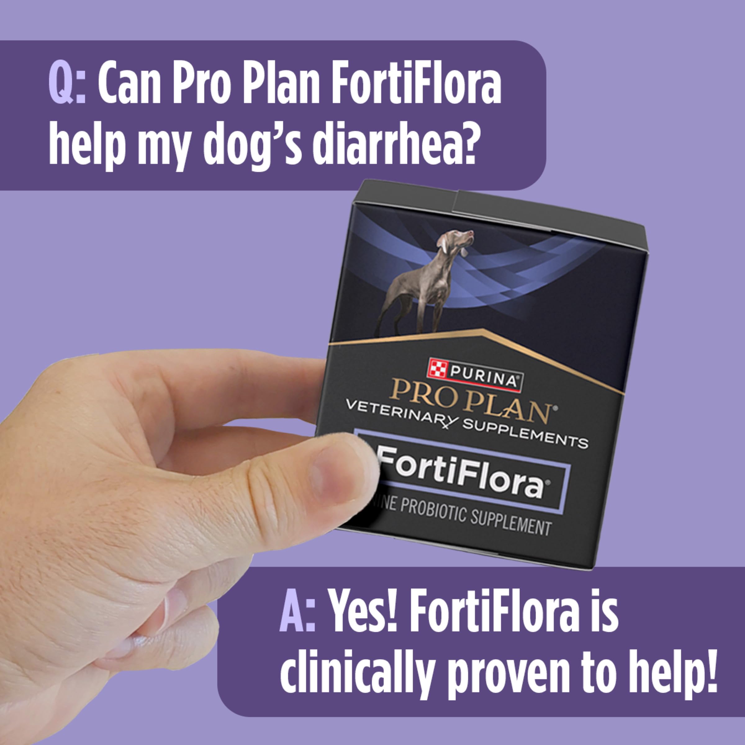 Daily Probiotic Supplement for Dogs – Digestive & Gut Health 30ct