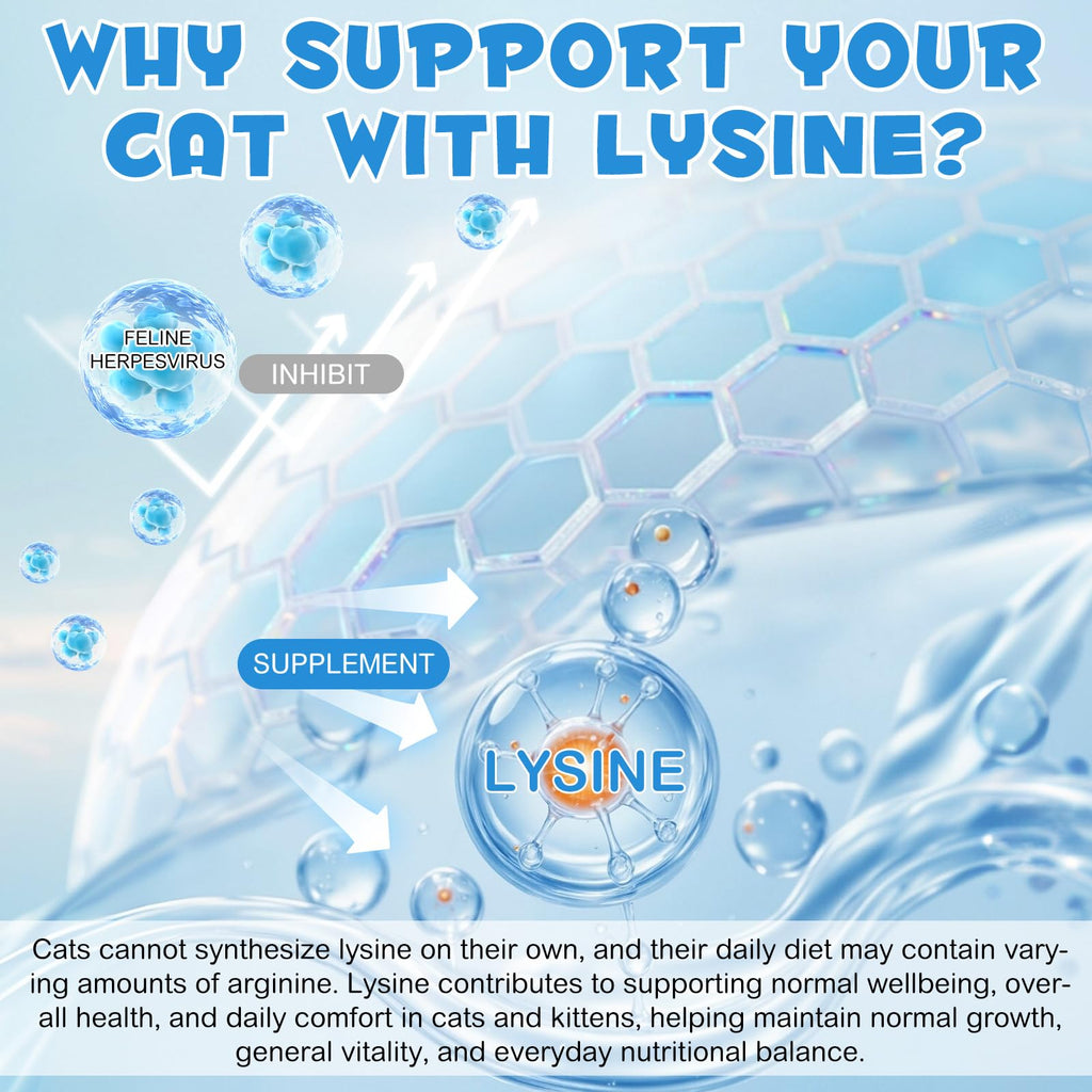 L-Lysine Liquid Drops for Cats – Immune & Respiratory Support 2oz