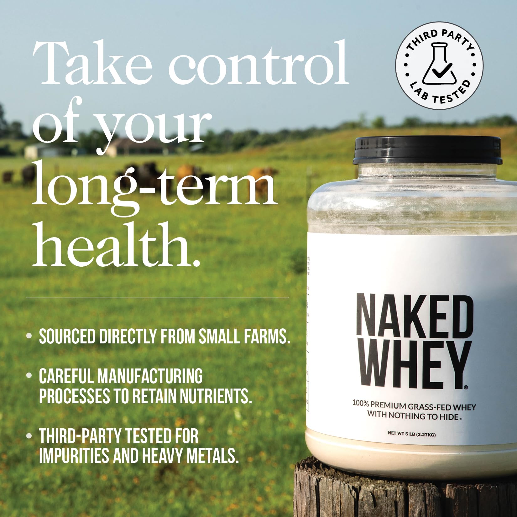 Grass Fed Whey Protein Vanilla 3 Ingredients 24 Servings