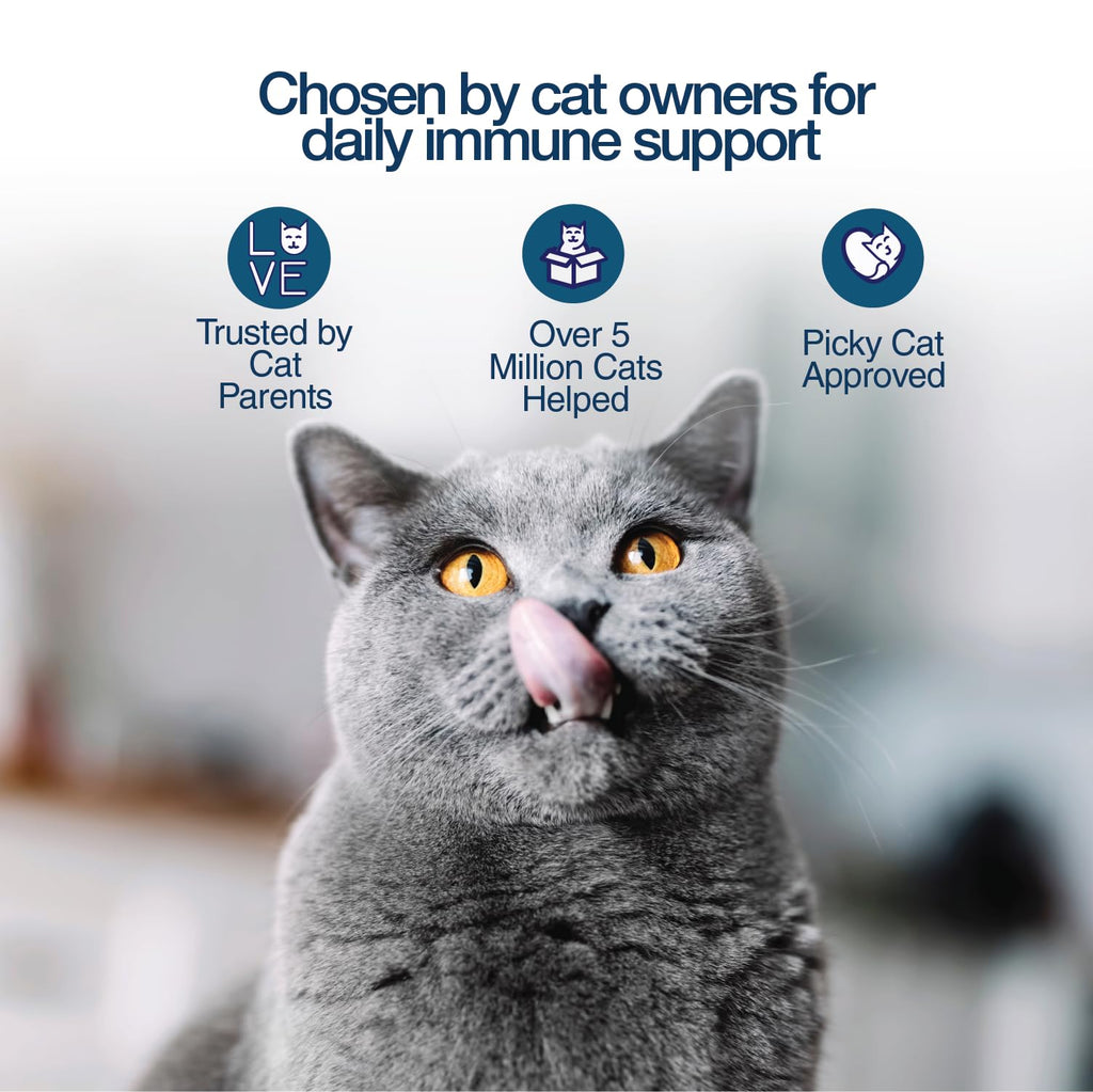 L-Lysine Gel for Cats & Kittens – Immune & Respiratory Support 5oz