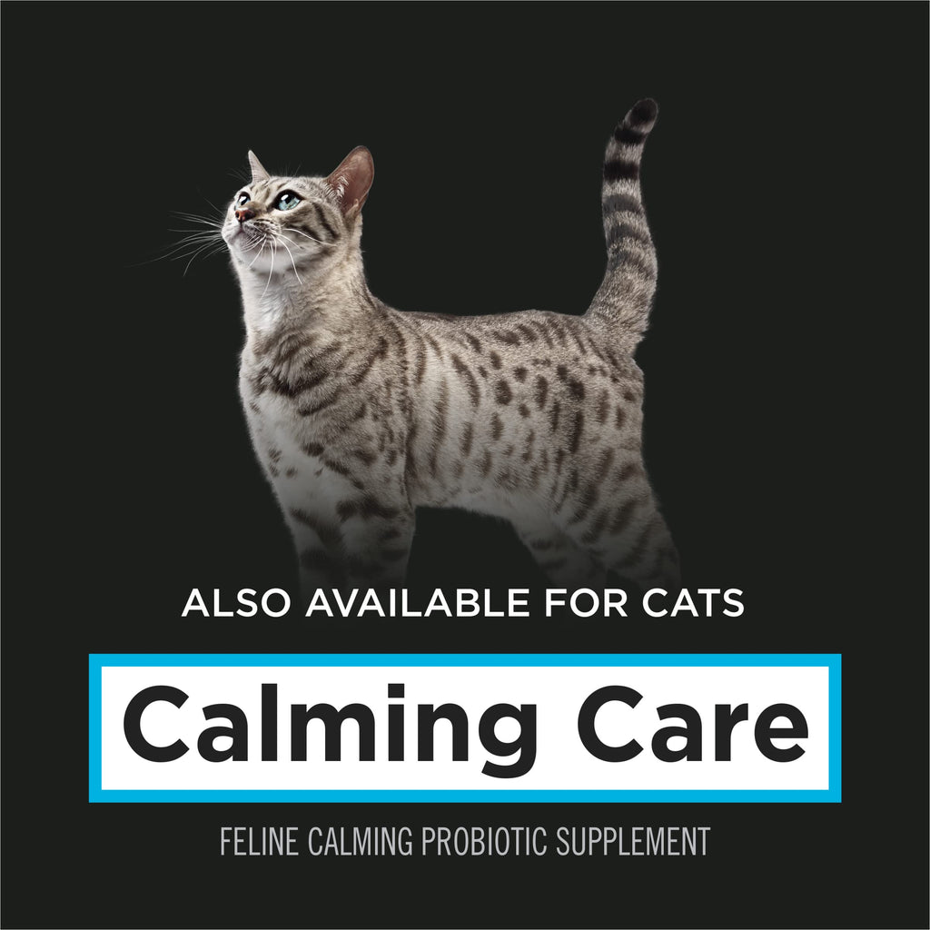 Calming Probiotic Supplement Chews for Dogs – 30ct