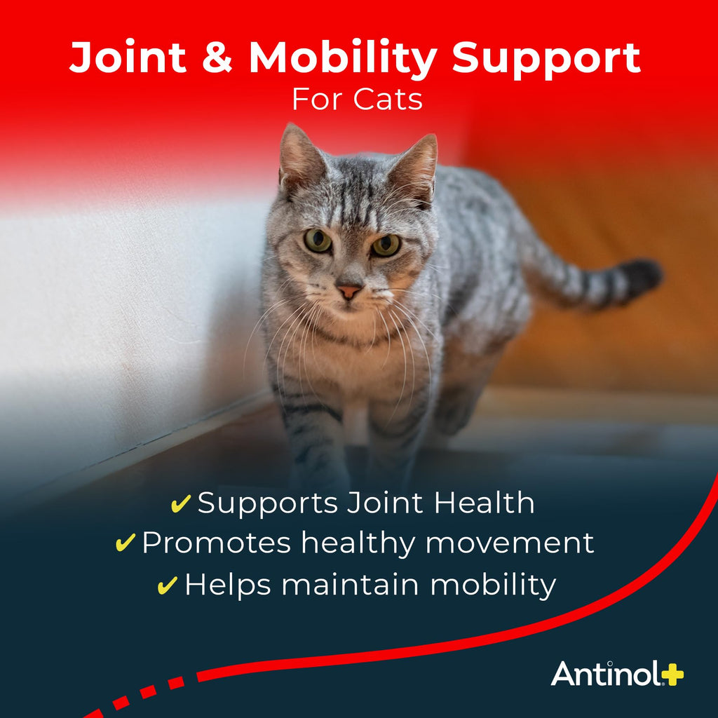Hip & Joint Soft Gels for Cats – Green-Lipped Mussel & Krill Oil 60ct