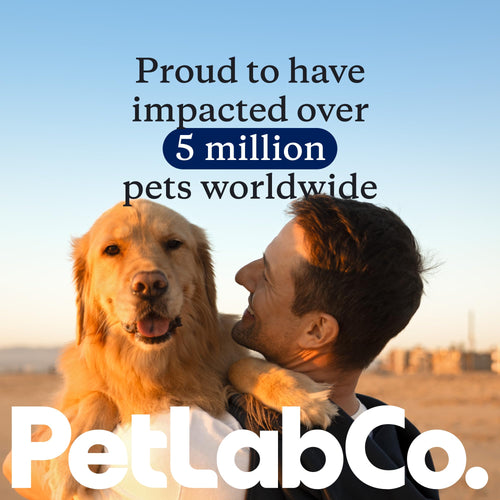 Allergy & Immune Probiotic Chews for Dogs – 30ct