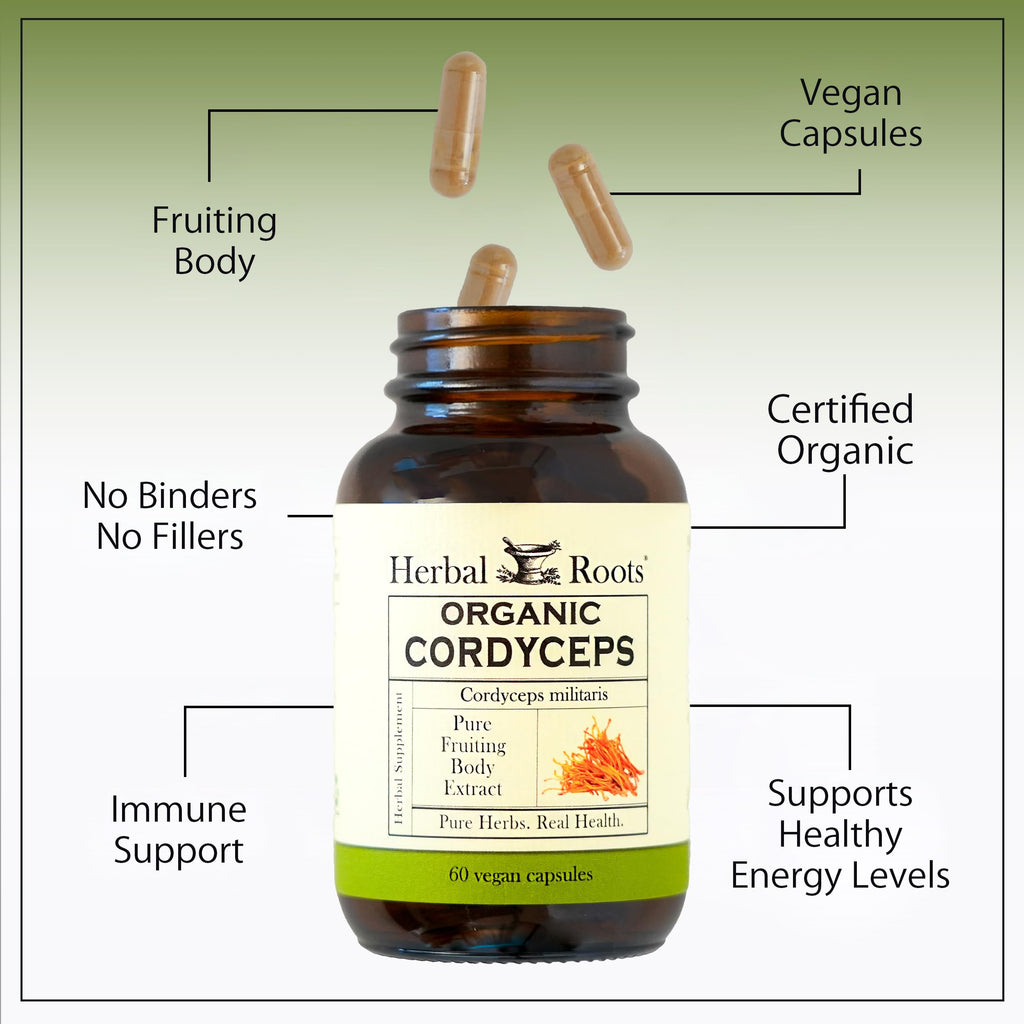 Organic Cordyceps Mushroom Capsules – Energy & Immune Support, 60 Ct