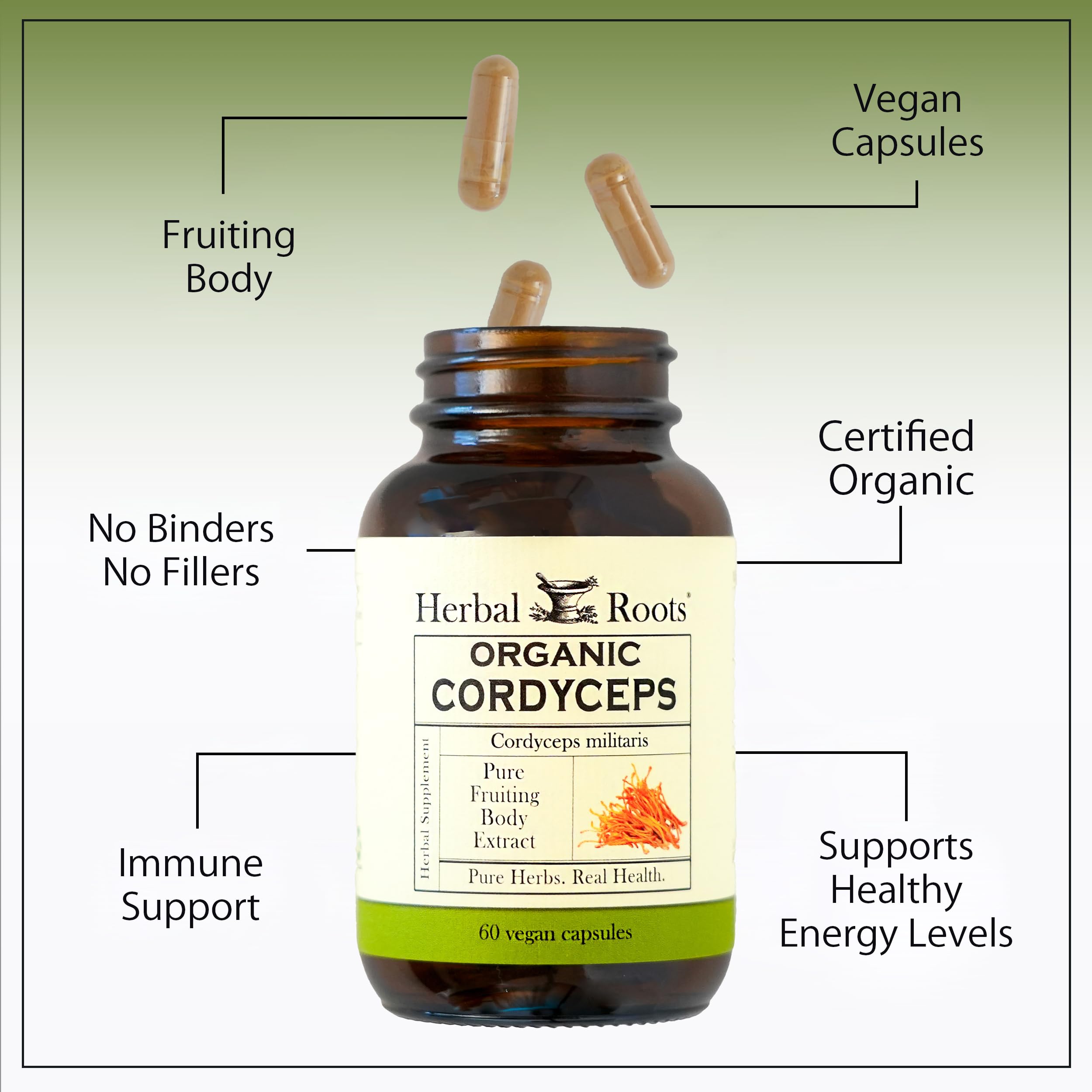 Organic Cordyceps Mushroom Capsules – Energy & Immune Support, 60 Ct