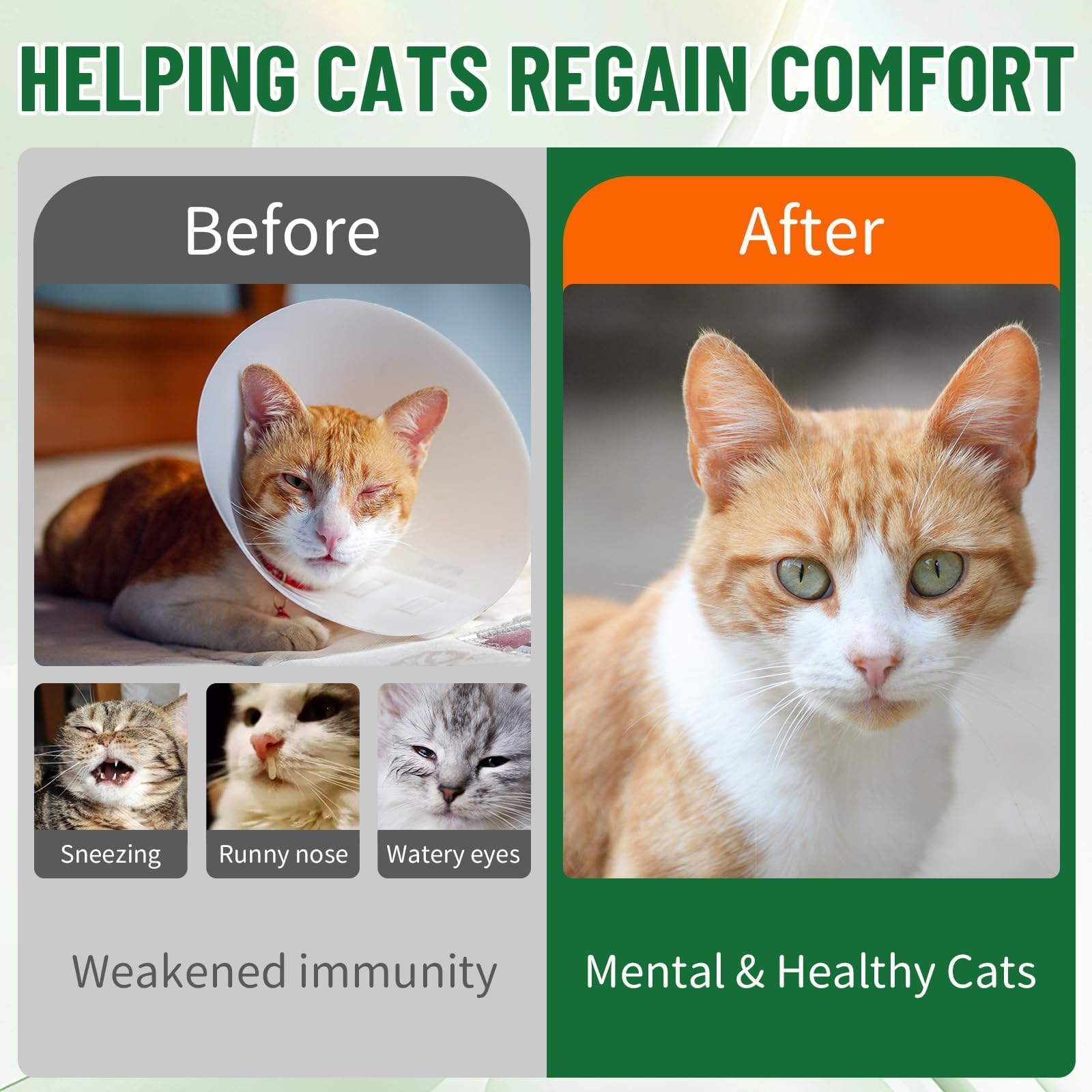 L-Lysine Drops for Cats – Immune & Respiratory Health 60ml