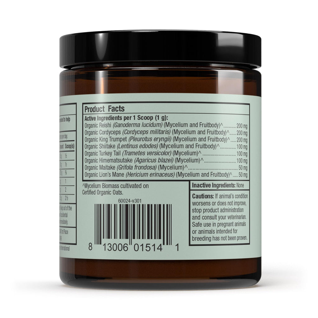 Organic Fermented Mushroom Blend for Dogs & Cats – 60 Scoops