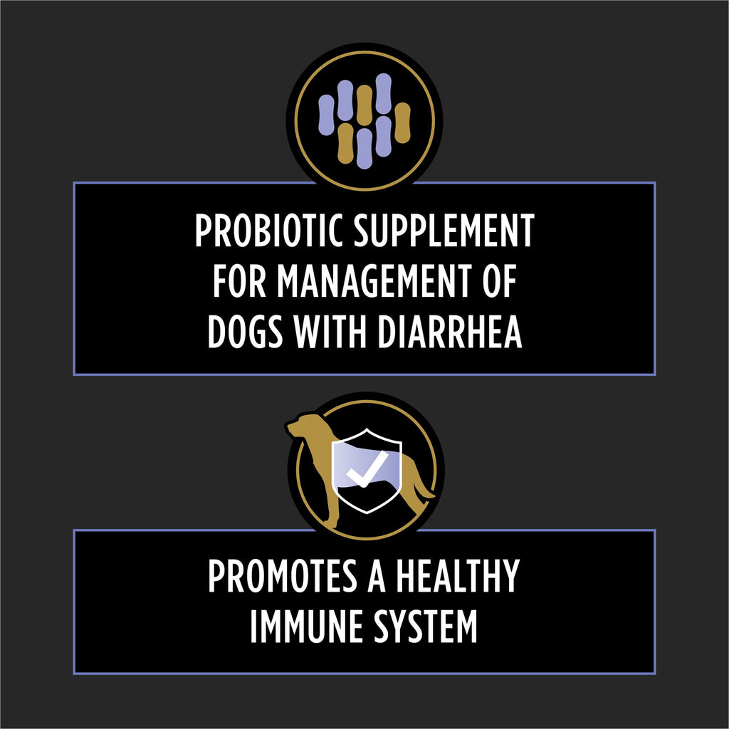 Daily Probiotic Chewable Tablets for Dogs – Digestive Health 45ct