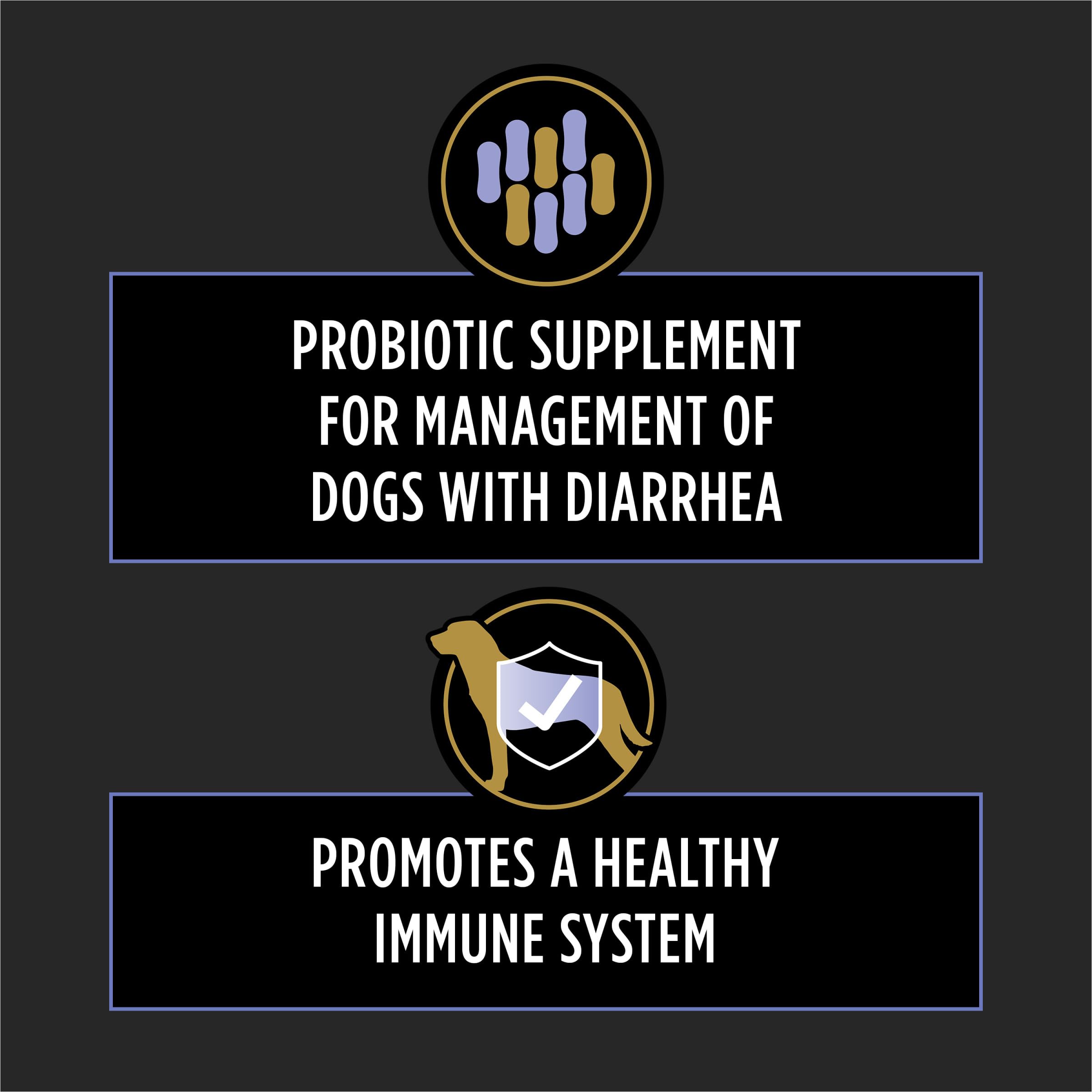 Daily Probiotic Chewable Tablets for Dogs – Digestive Health 45ct