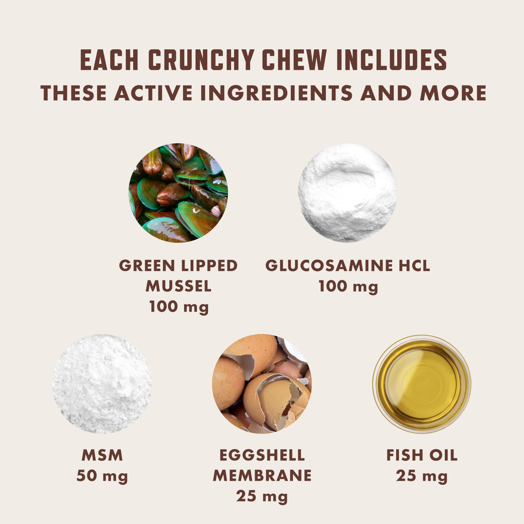 Senior Cat Hip & Joint Chews – Glucosamine & Green Lipped Mussel 300ct