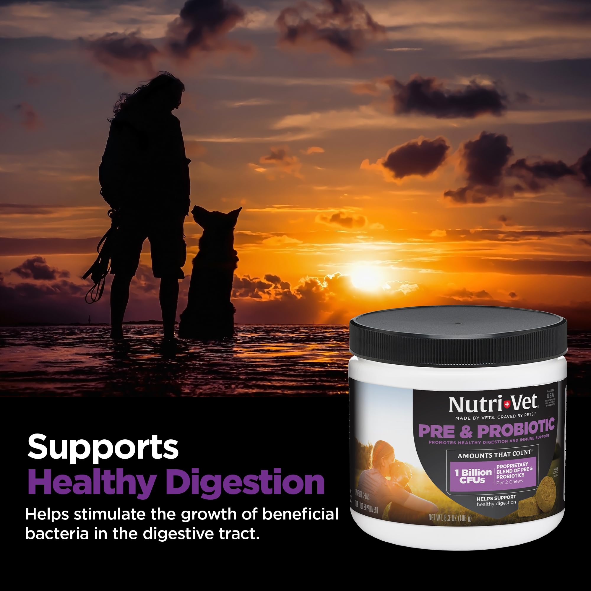 Pre & Probiotic Soft Chews for Dogs – Digestive Support 120ct