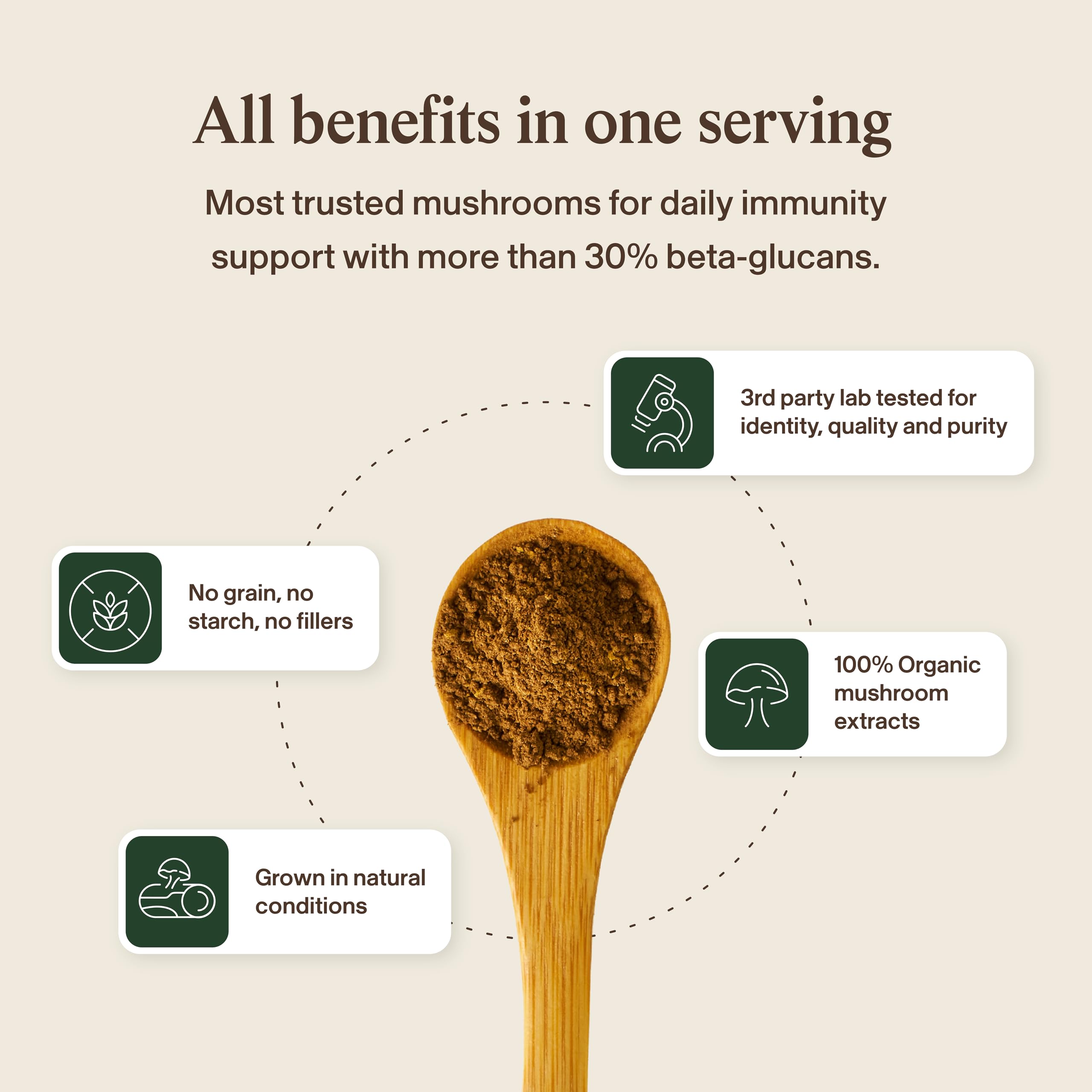 Turkey Tail Mushroom Capsules – Gut & Immune Support, 200 Ct