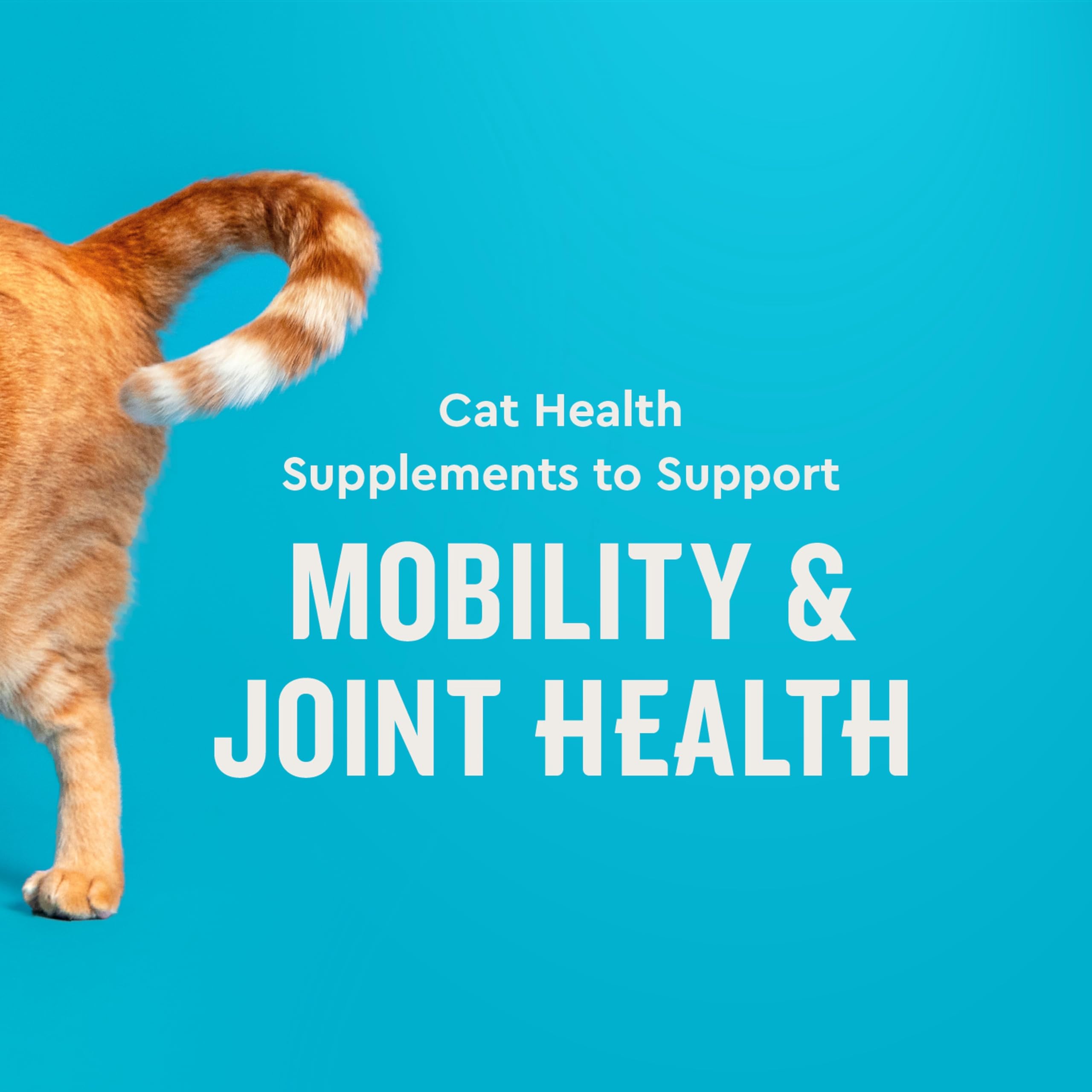 Hip & Joint Supplement for Cats – Glucosamine & Green Lipped Mussel 3.7oz