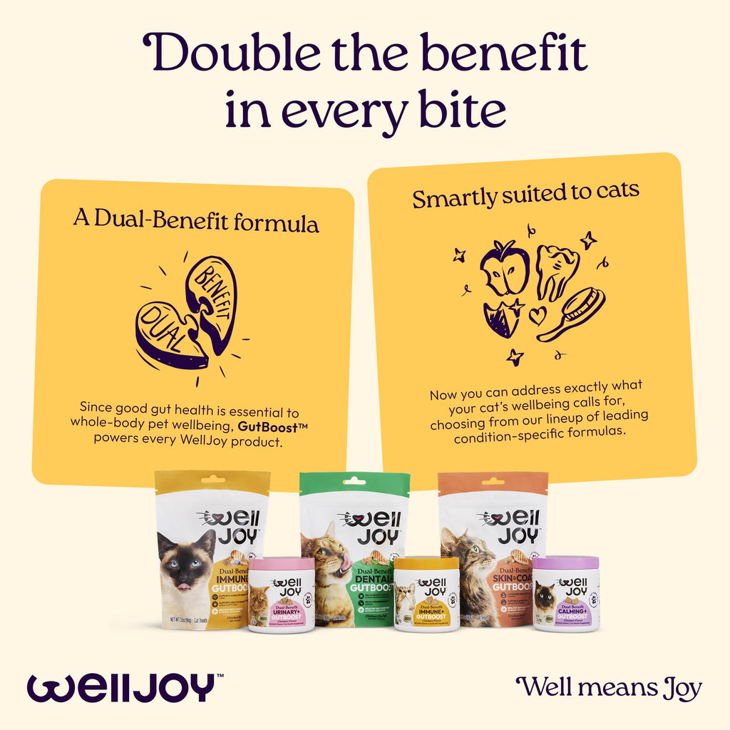 Immune & Gut Support Soft Chews for Cats – Lysine & Chicken 120ct