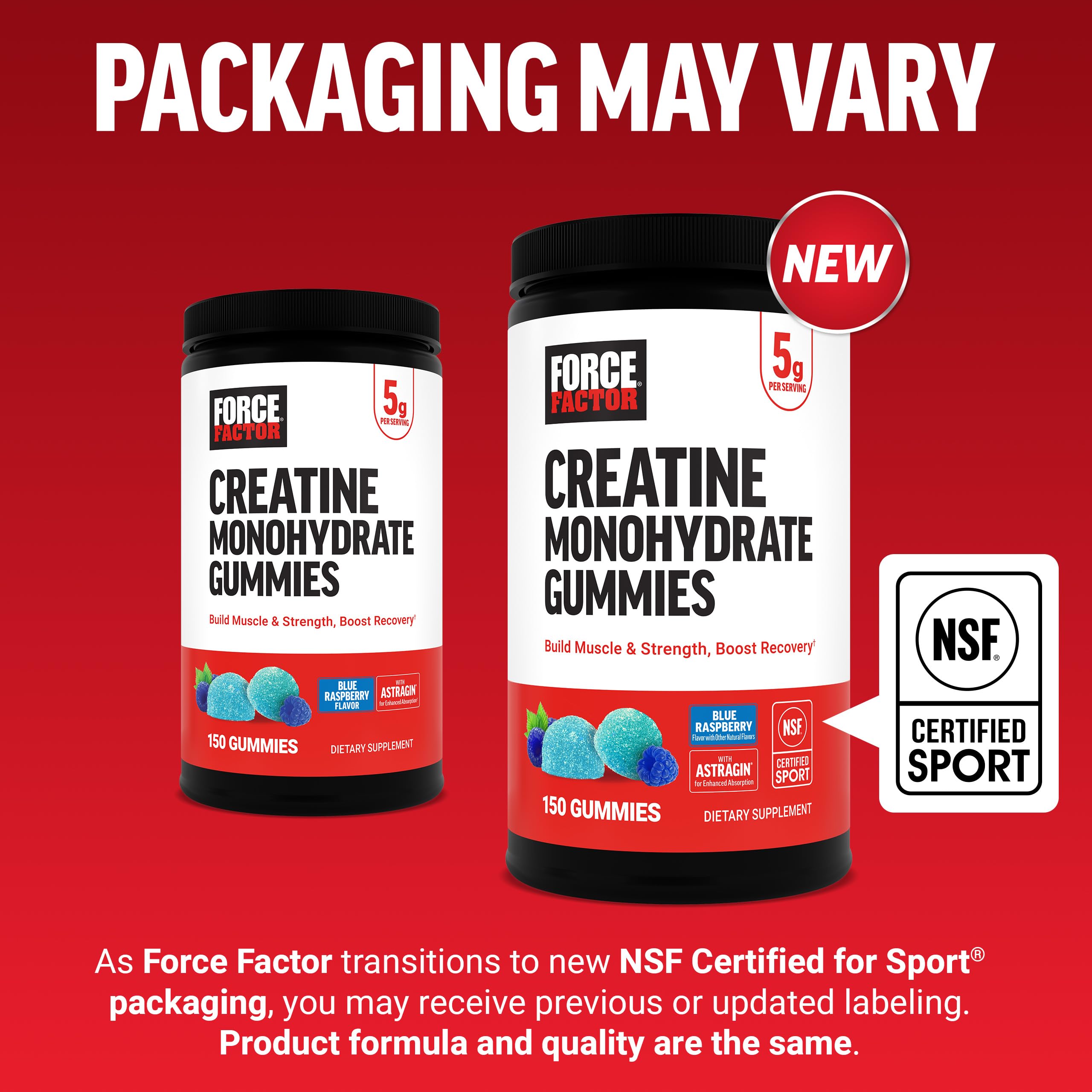Blue Raspberry Creatine Monohydrate Gummies 5g Dose