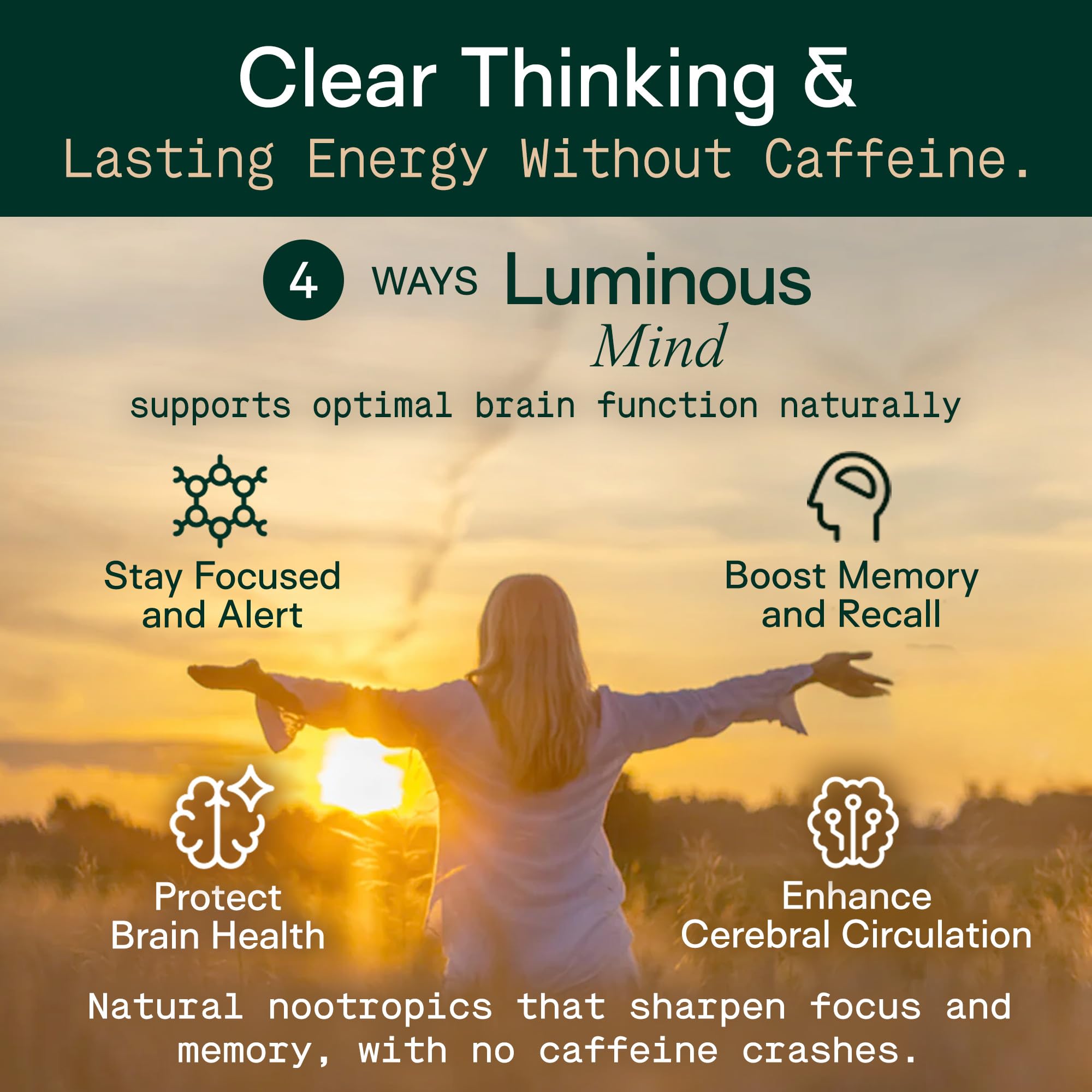 Nootropic Brain Supplement with Ginkgo, Bacopa & Lion’s Mane for Focus & Memory
