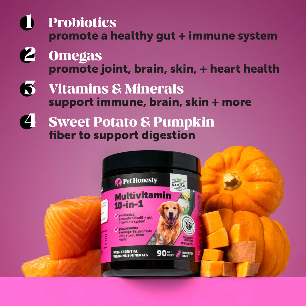 10-in-1 Dog Multivitamin Chews – Glucosamine & Probiotics 90ct
