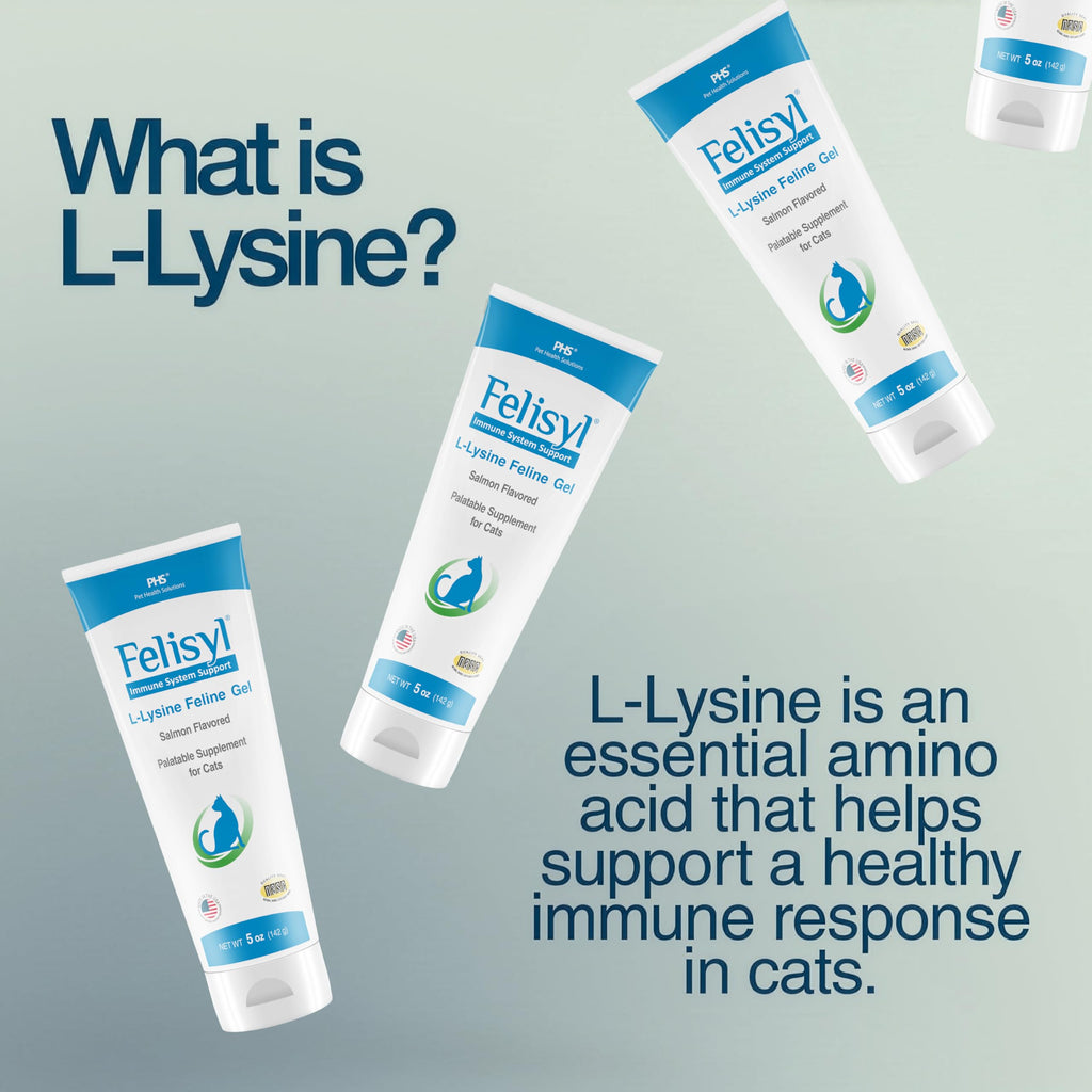 L-Lysine Gel for Cats & Kittens – Immune & Respiratory Support 5oz