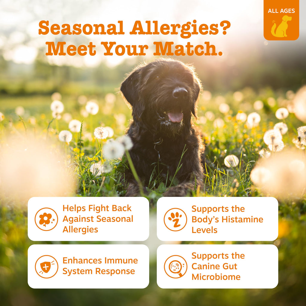 Allergy Relief Probiotic Chews for Dogs – Itchy Skin & Ears 90ct