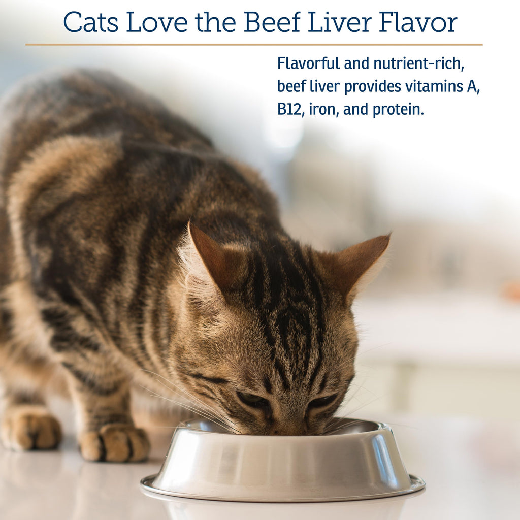 Daily Multivitamin & Mineral Powder for Cats – Immune Support 4oz