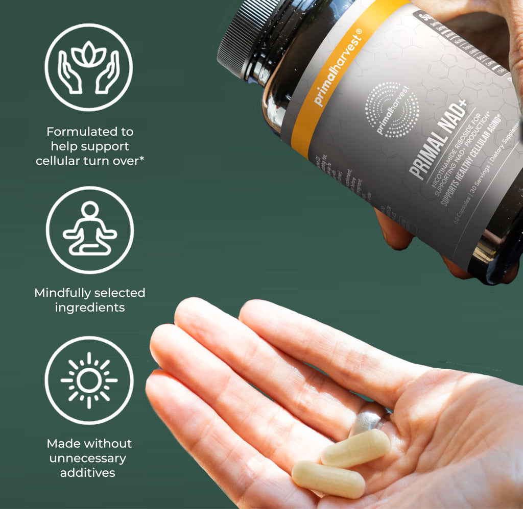 NAD+ Supplement with Nicotinamide Riboside & Resveratrol for Energy Support