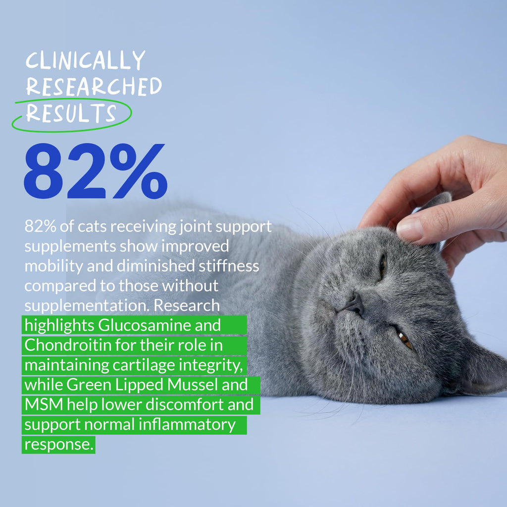 Hip & Joint Glucosamine Powder for Cats – Green Lipped Mussel 4oz