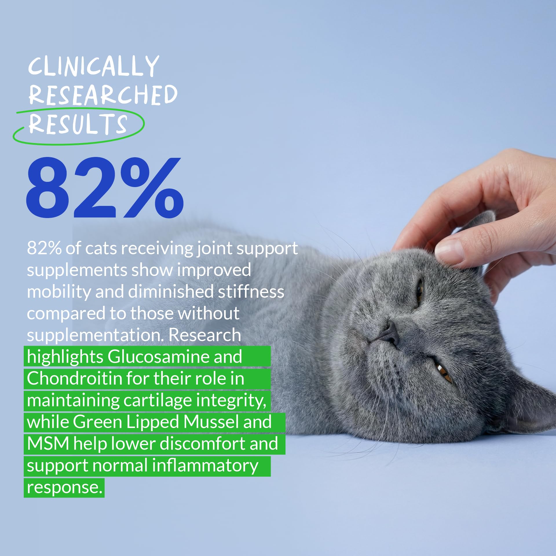 Hip & Joint Glucosamine Powder for Cats – Green Lipped Mussel 4oz
