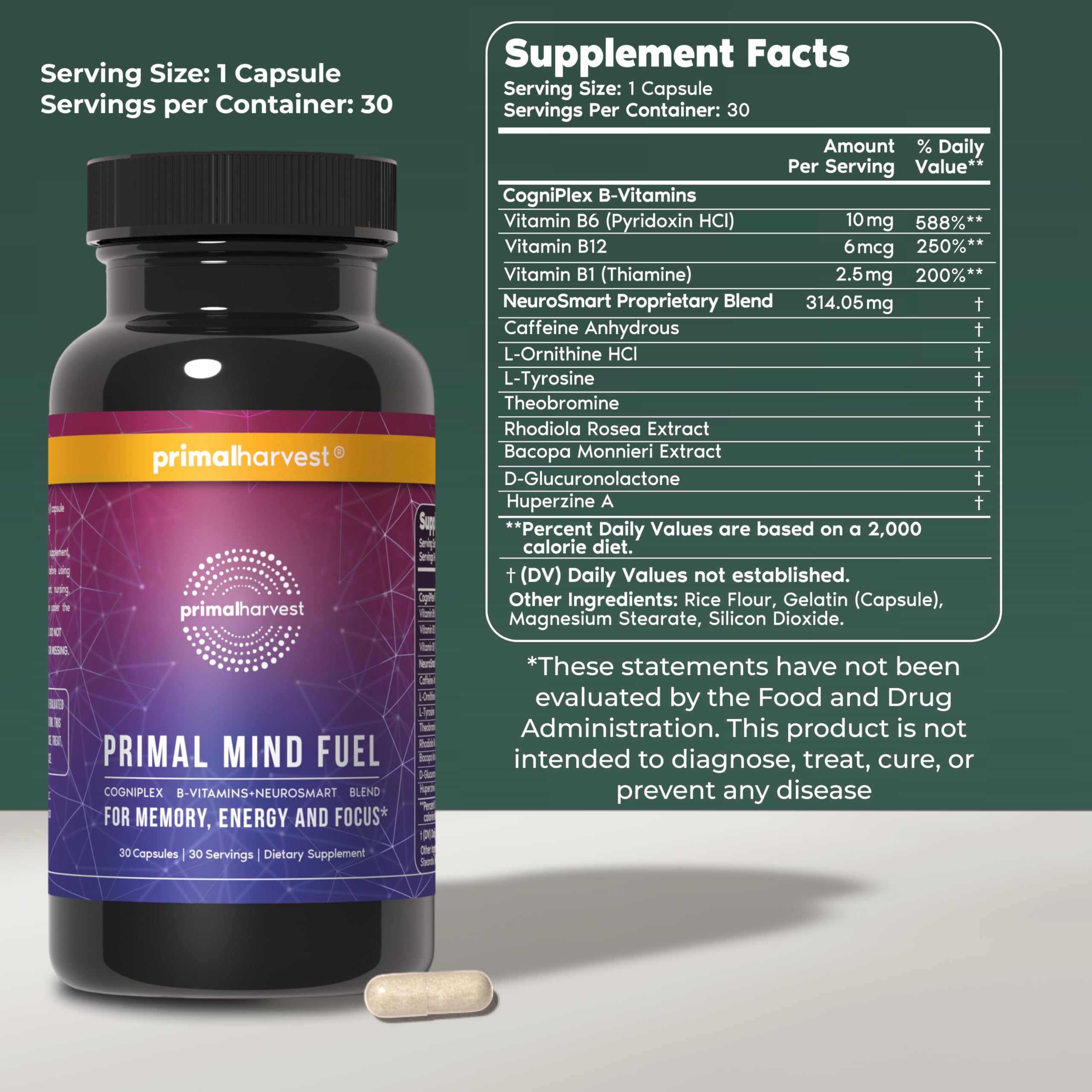 Nootropic Brain Supplement for Focus & Memory – 30 Capsules