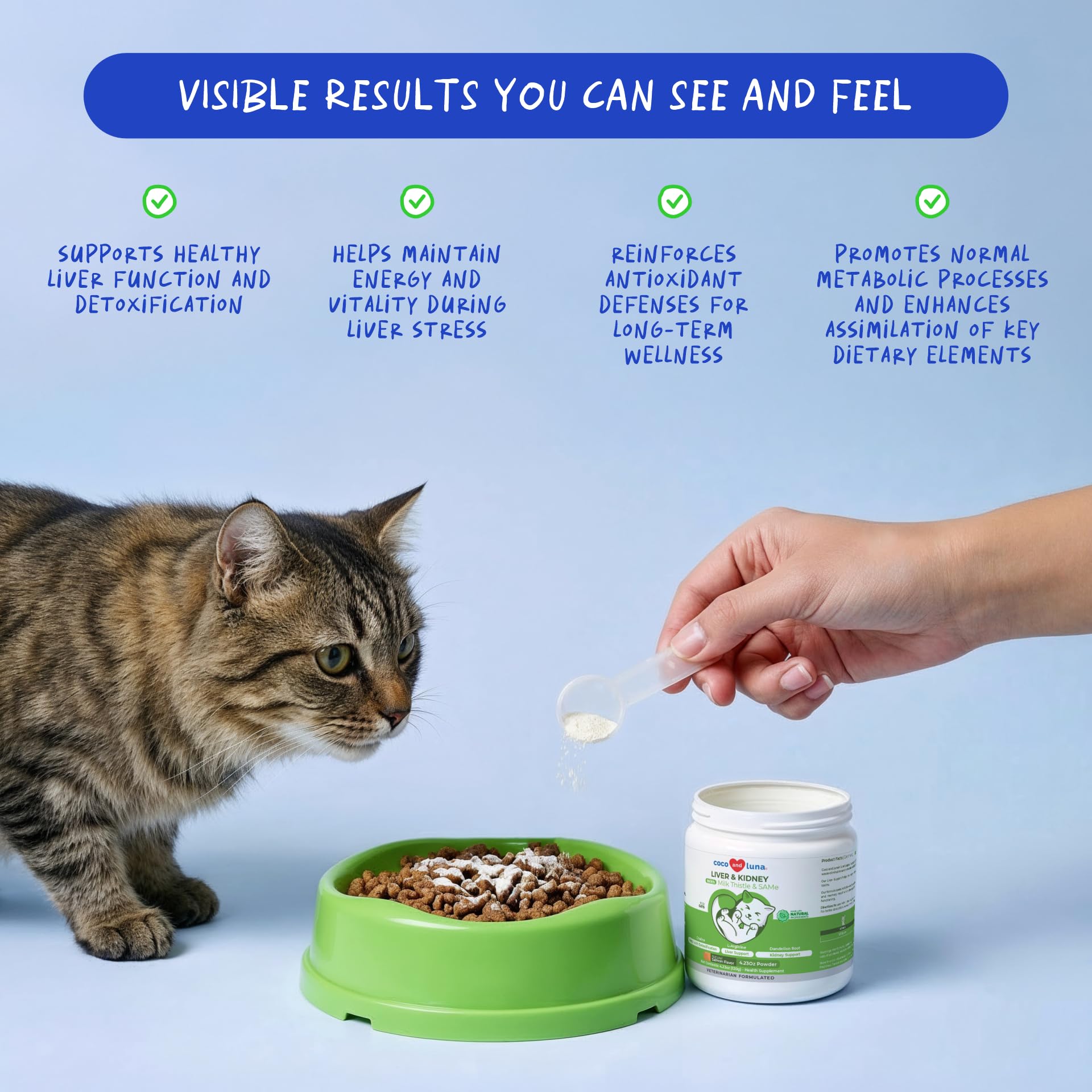 Milk Thistle Liver & Kidney Support Powder for Cats