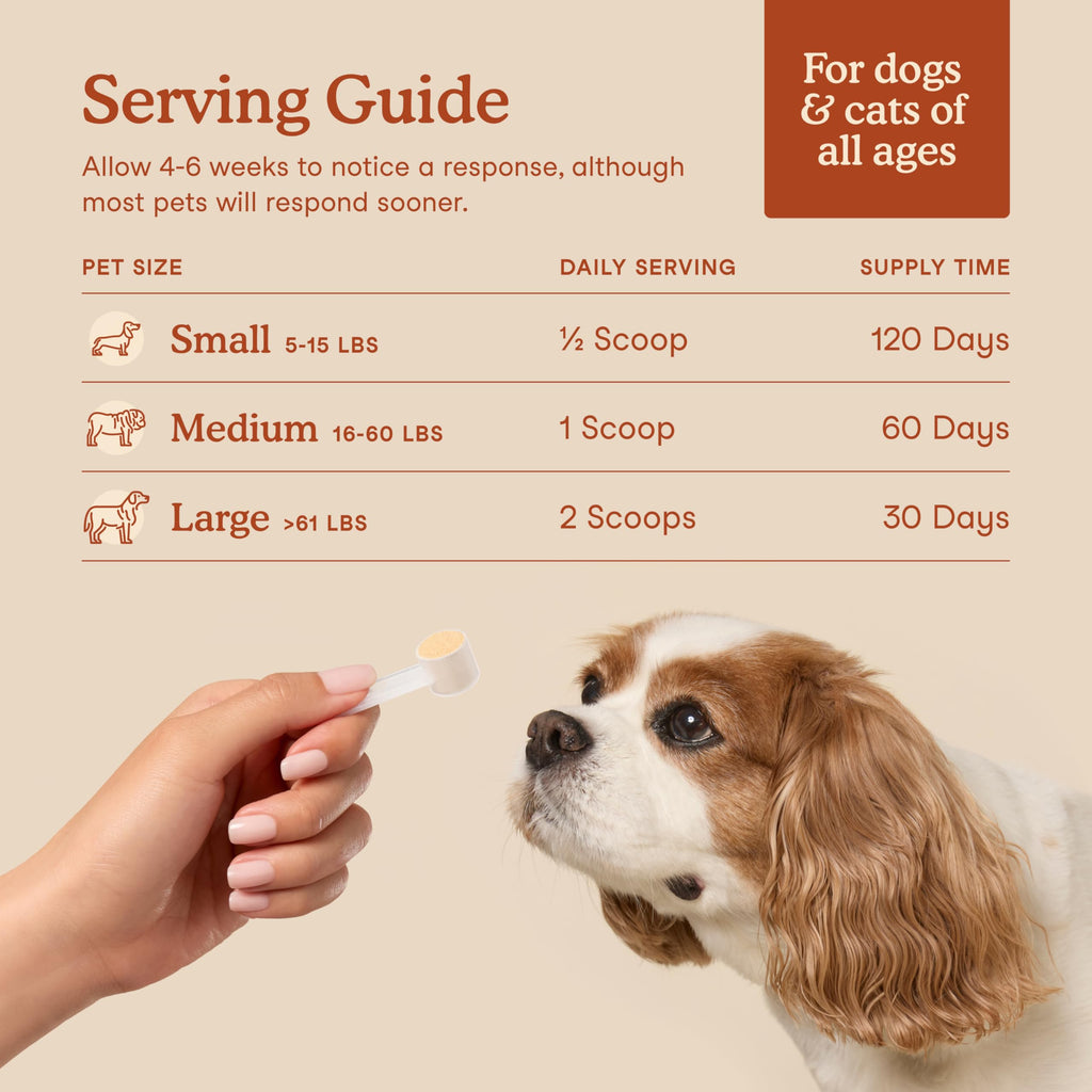 Organic Pre & Probiotic Powder for Dogs & Cats – 12 Strains 60ct