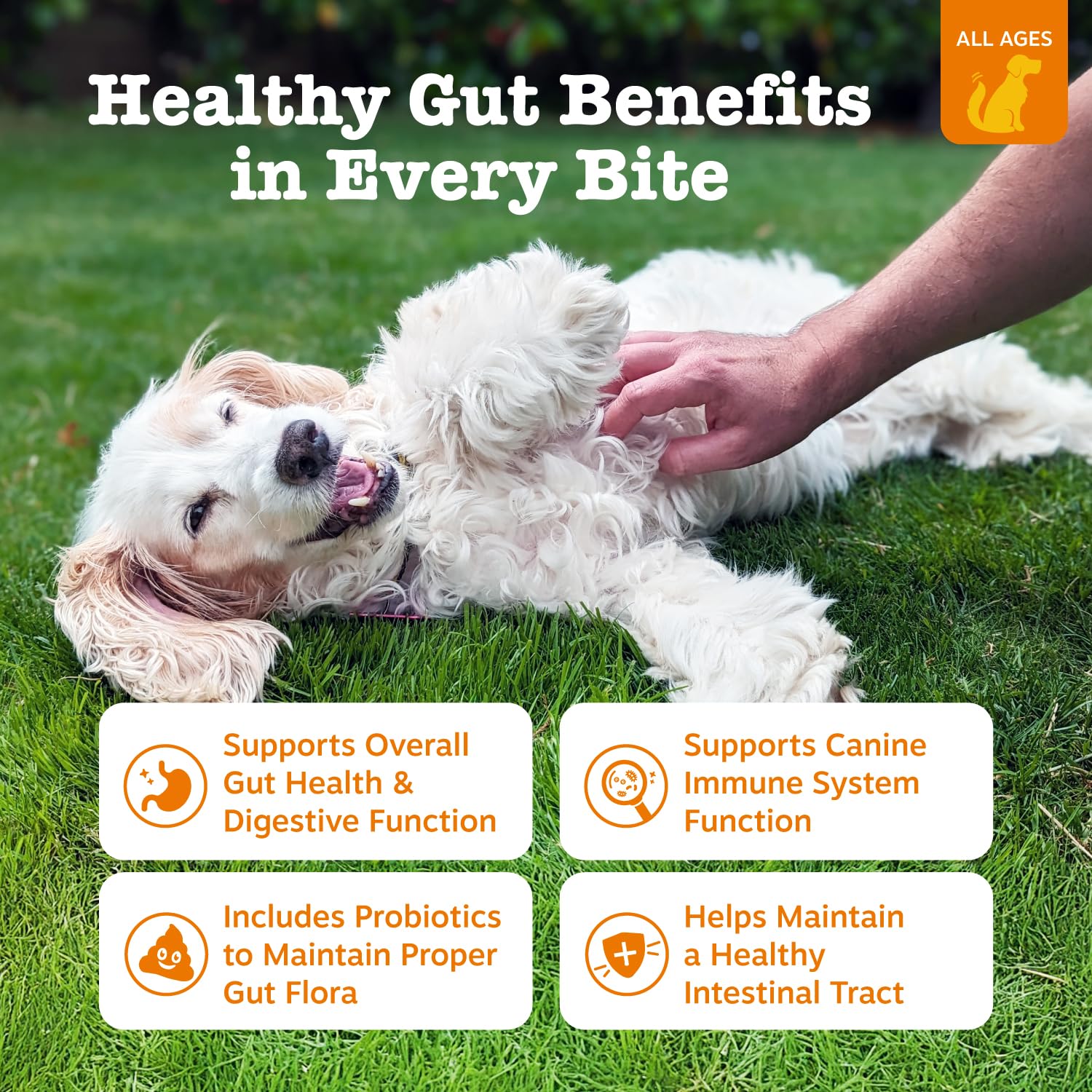 Probiotic Soft Chews for Dogs – Gut & Digestive Health Support 90ct