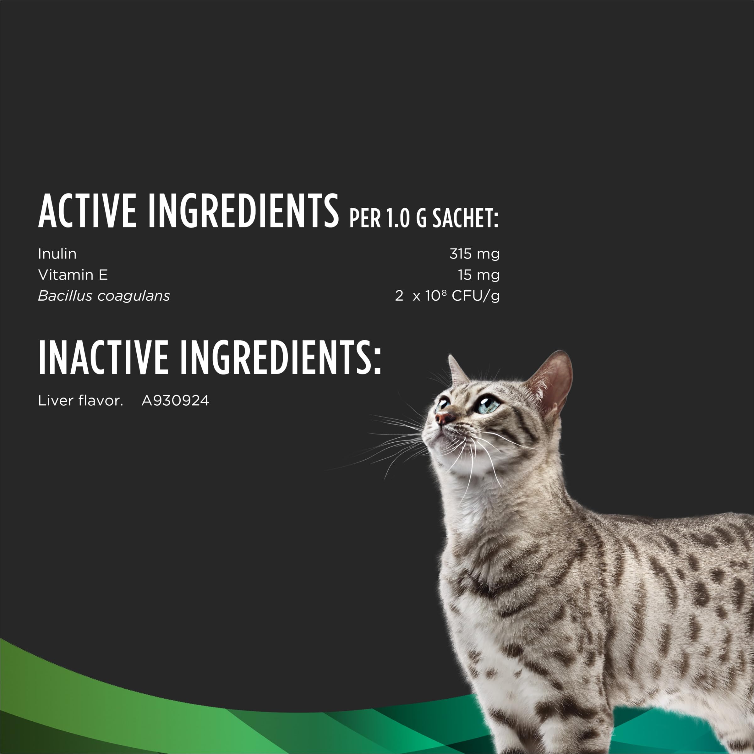 Daily Probiotic & Immune Support Supplement for Cats – 30ct