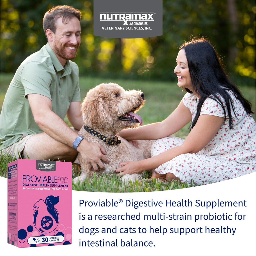 Multi-Strain Probiotic Capsules for Dogs & Cats – 30ct