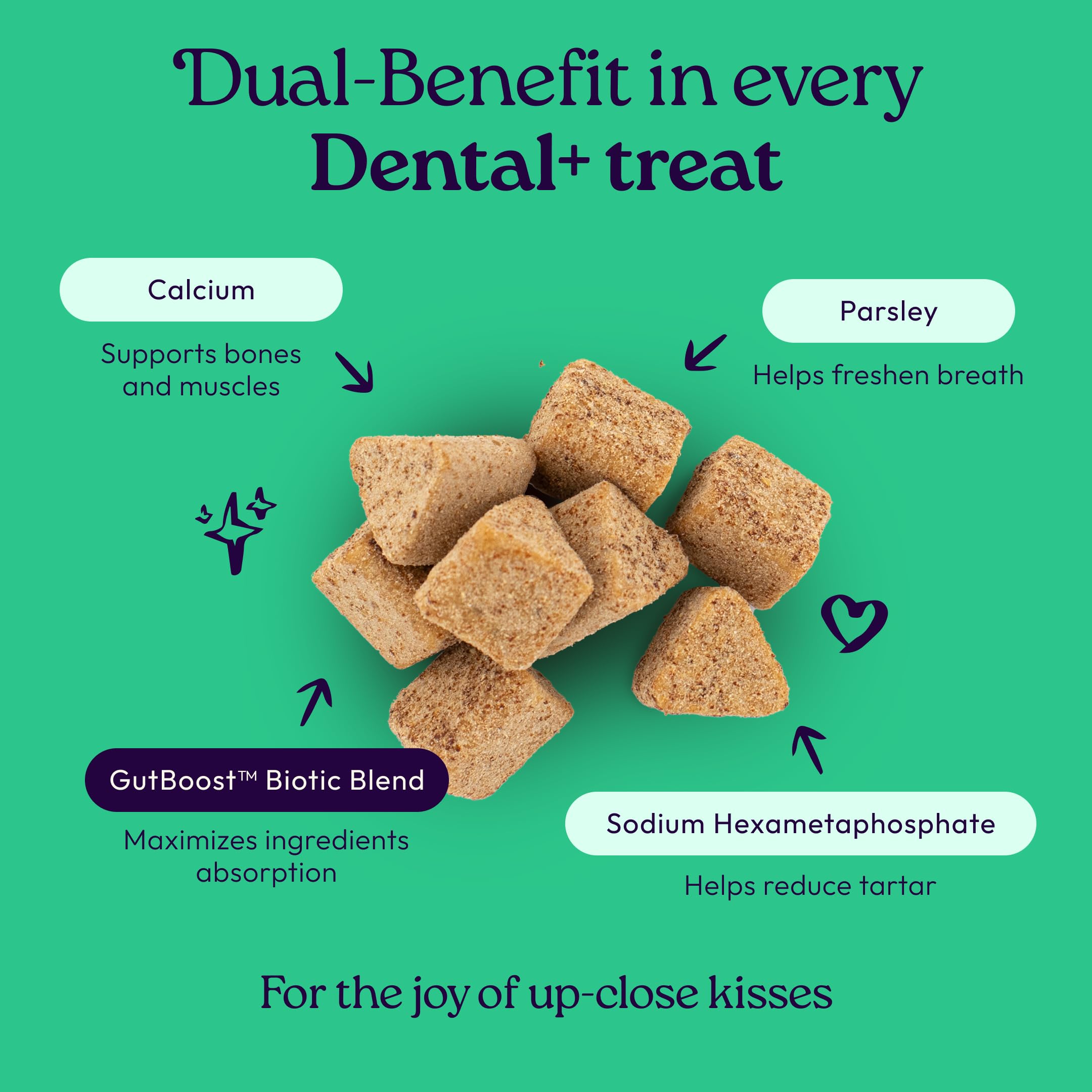 Dental & Gut Support Soft Chews for Cats – Tartar & Breath 120ct