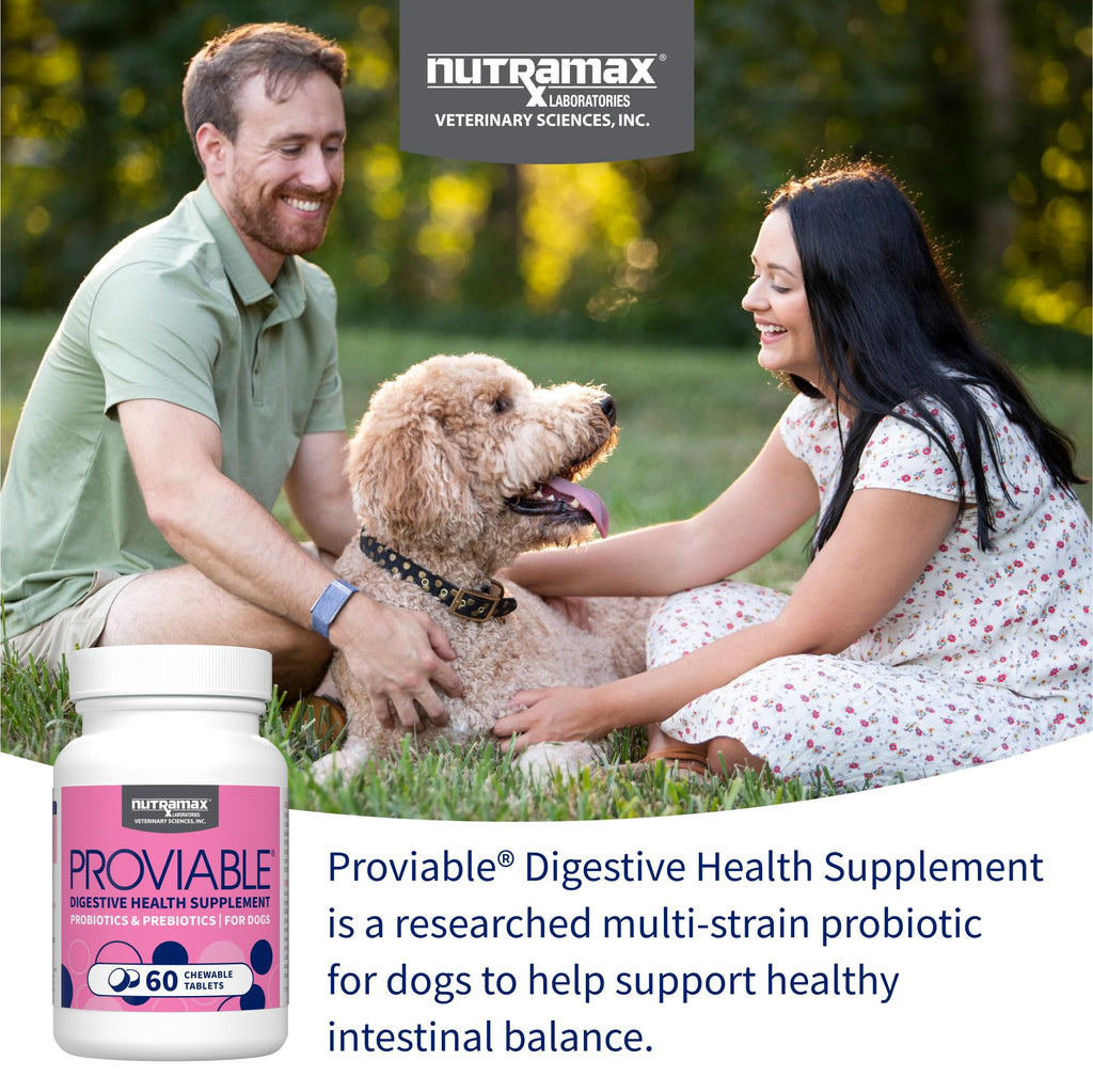 Multi-Strain Probiotic Chewable Tablets for Dogs – 60ct